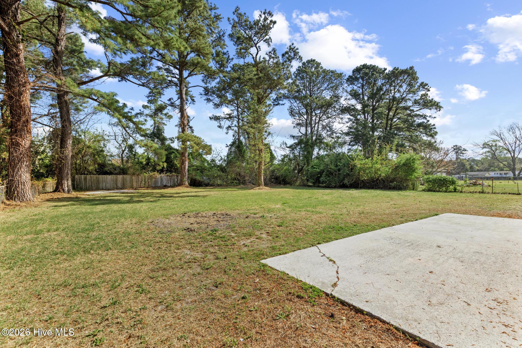 100565282 | Photo 29