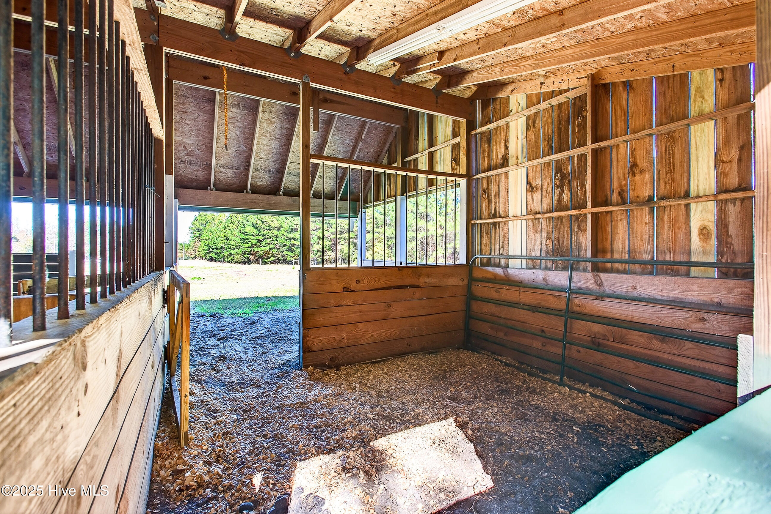 100540143 | Photo 48