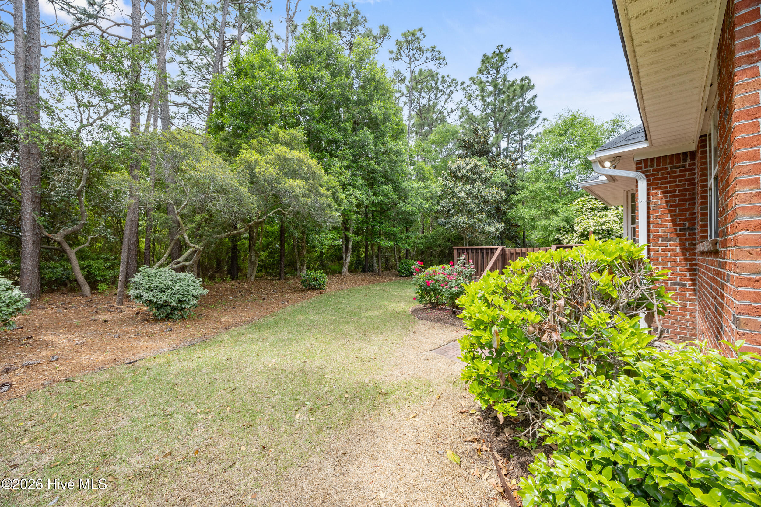 100564143 | Photo 36