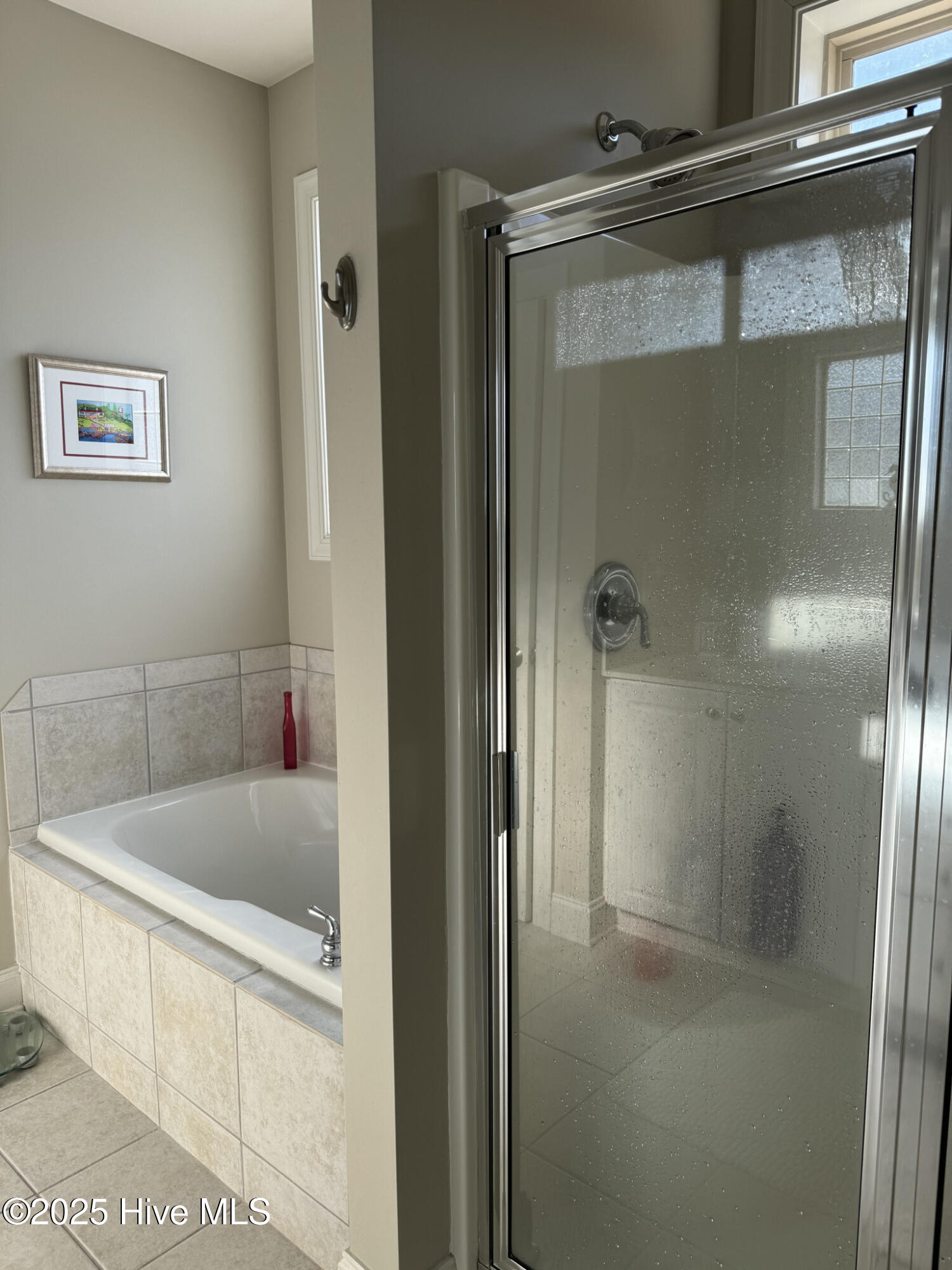 100497767 | Photo 10