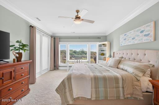 100531498 | Photo 13