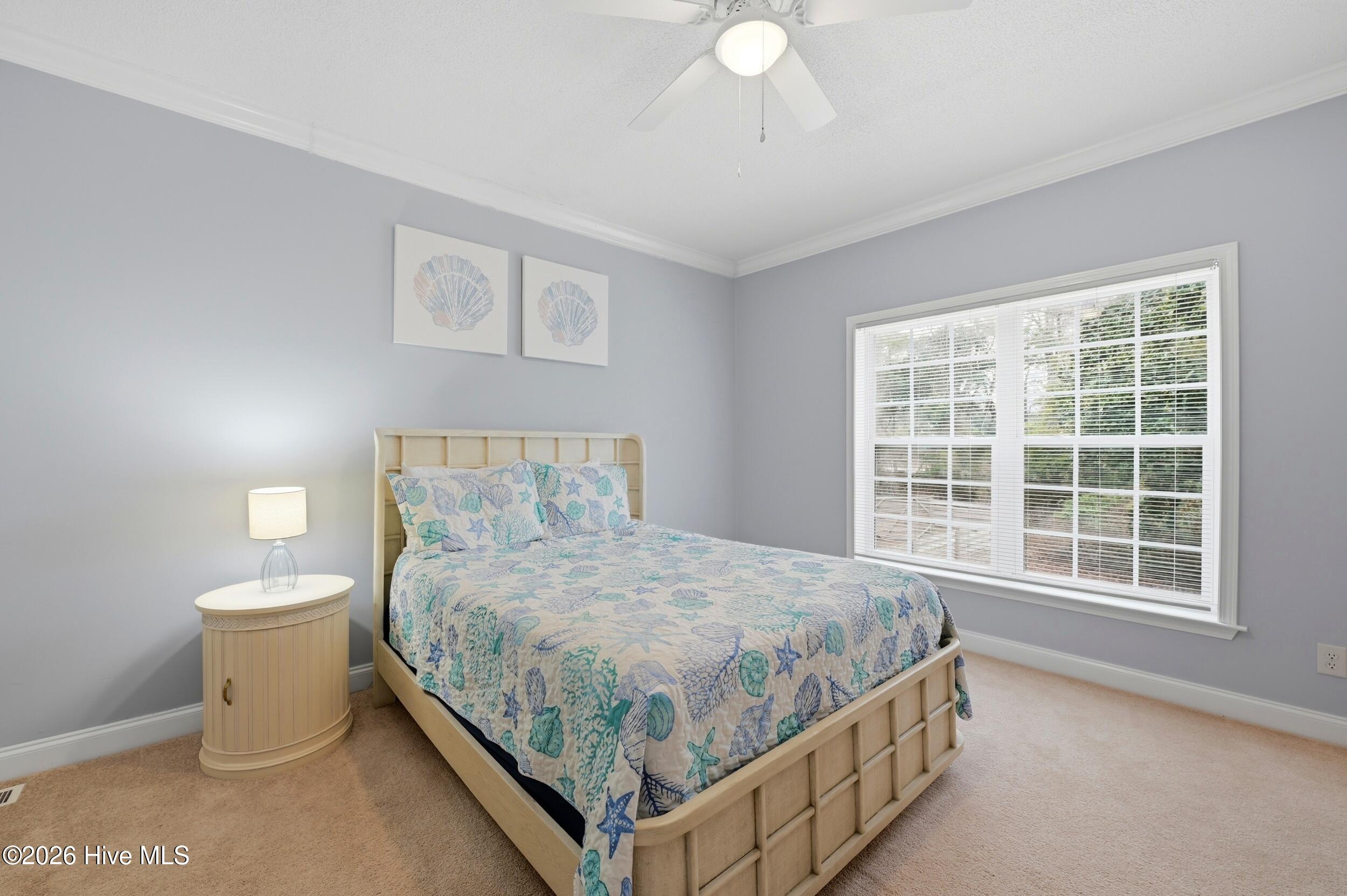 100557500 | Photo 30