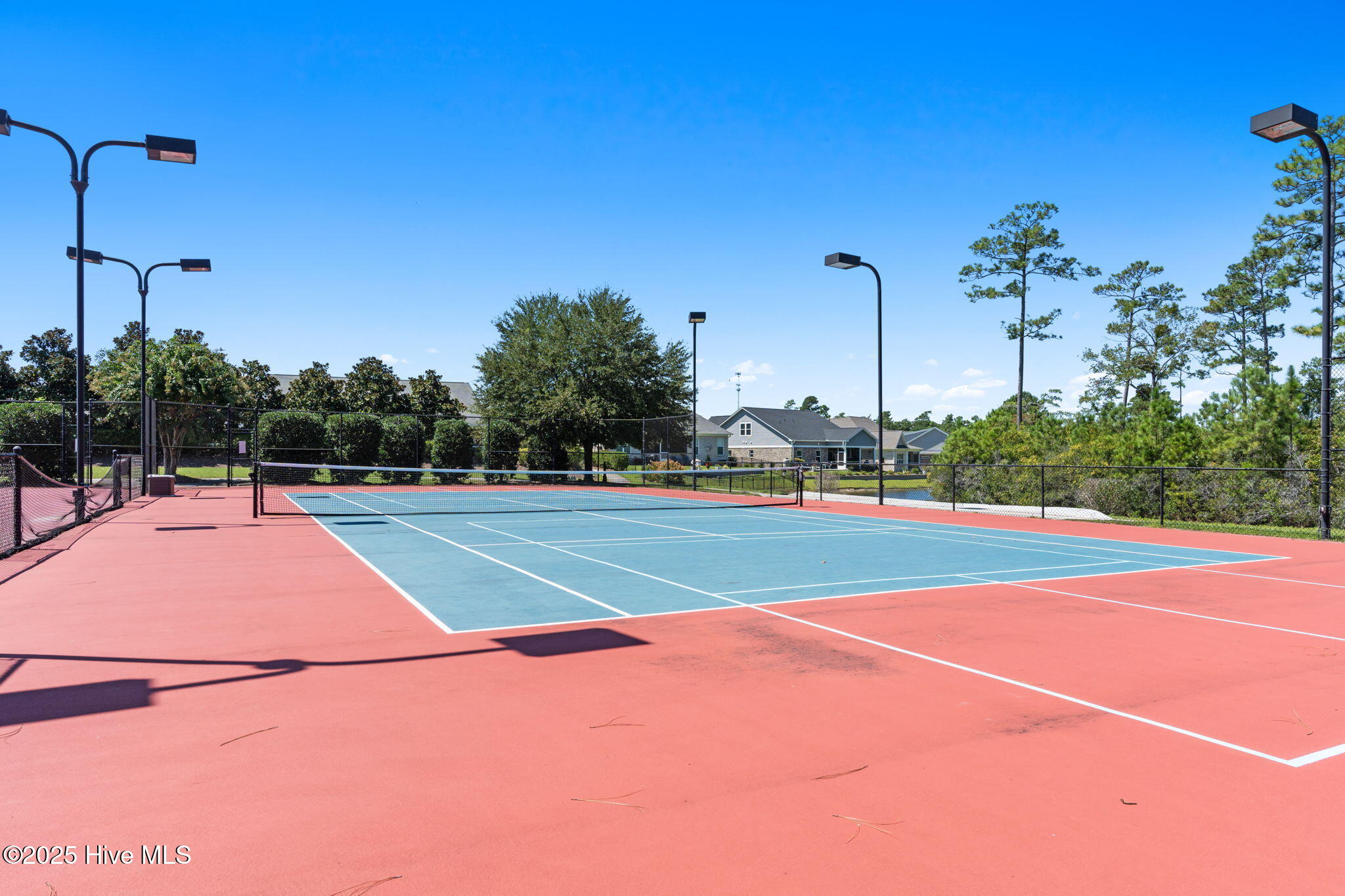 100543252 | Photo 19