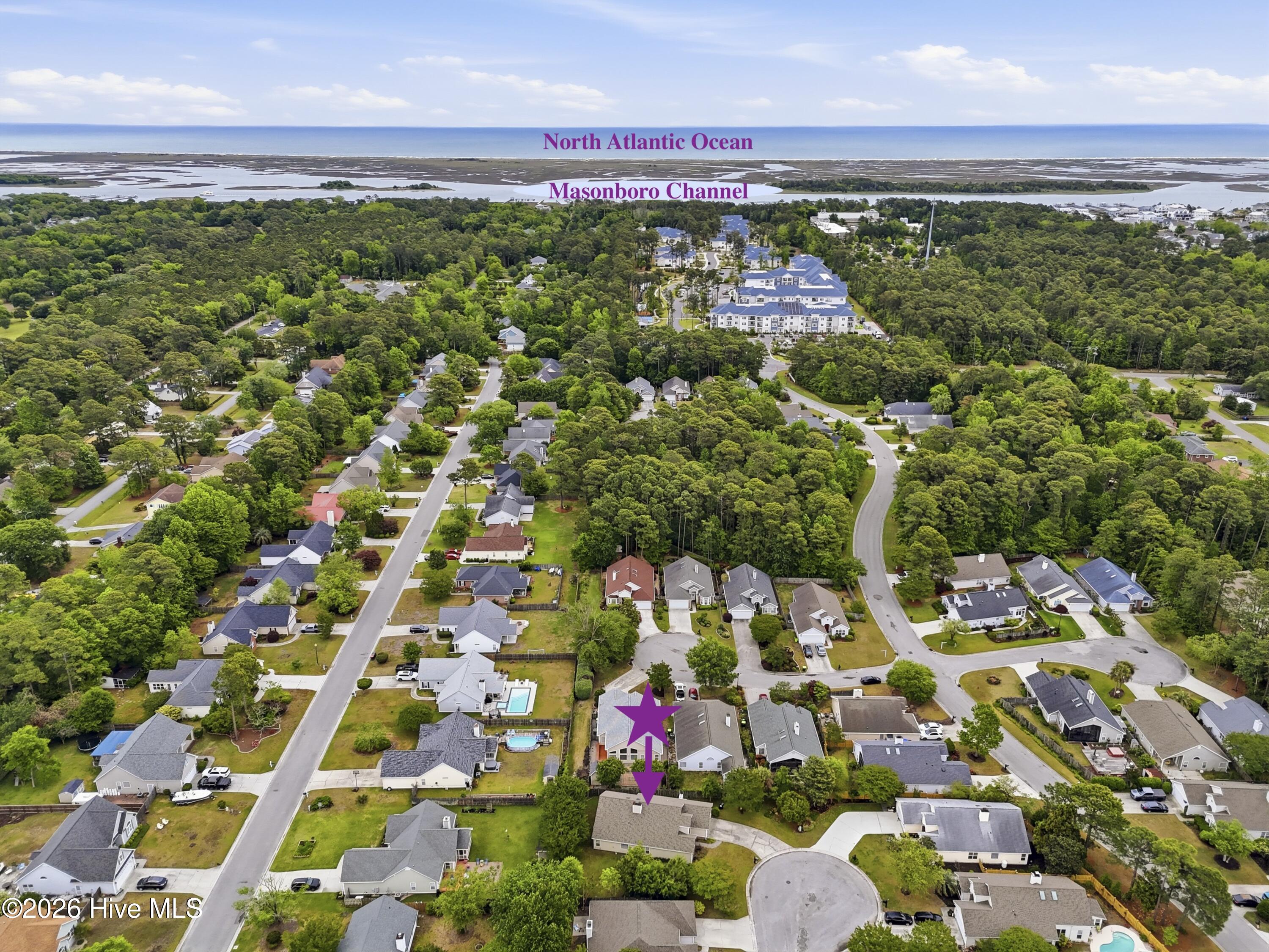 100560677 | Photo 39