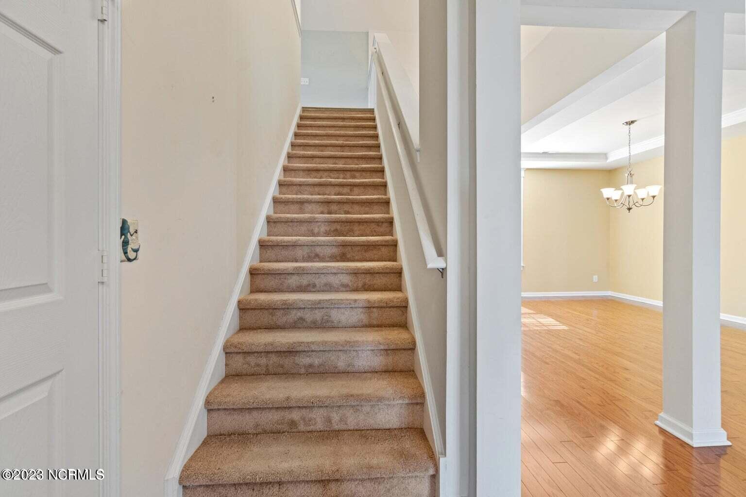 100550059 | Photo 22