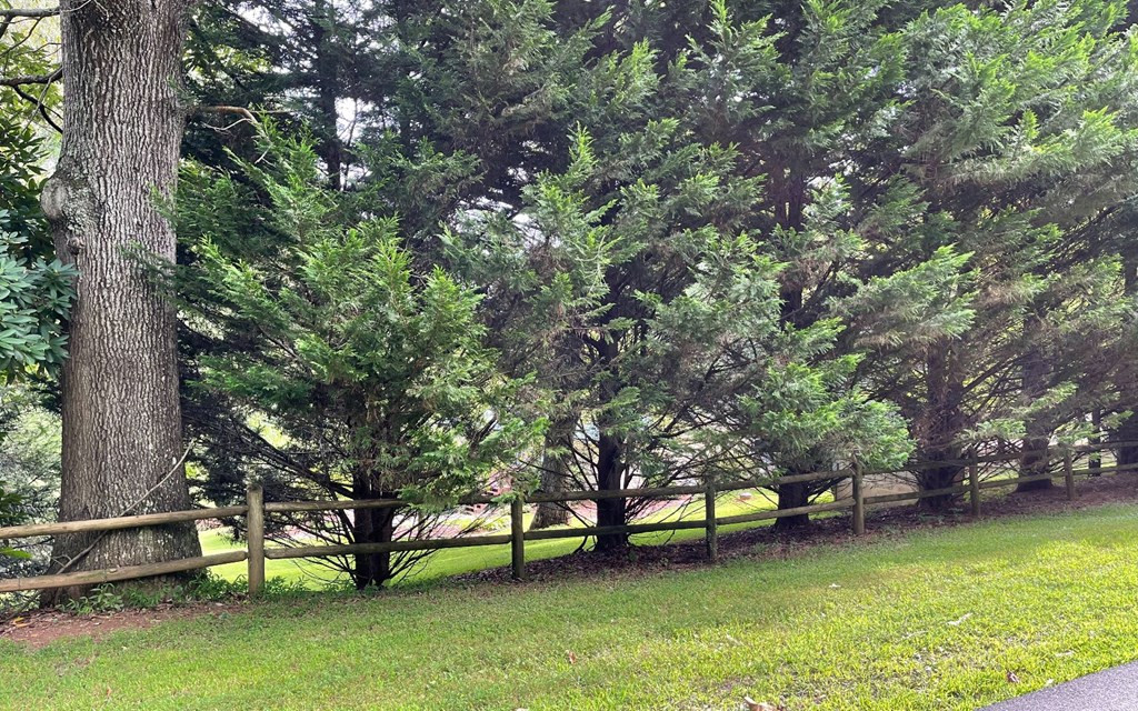 Exterior photo of Lot 27 Sneaking Creek, Hayesville, NC 28904. MLS: 98524548