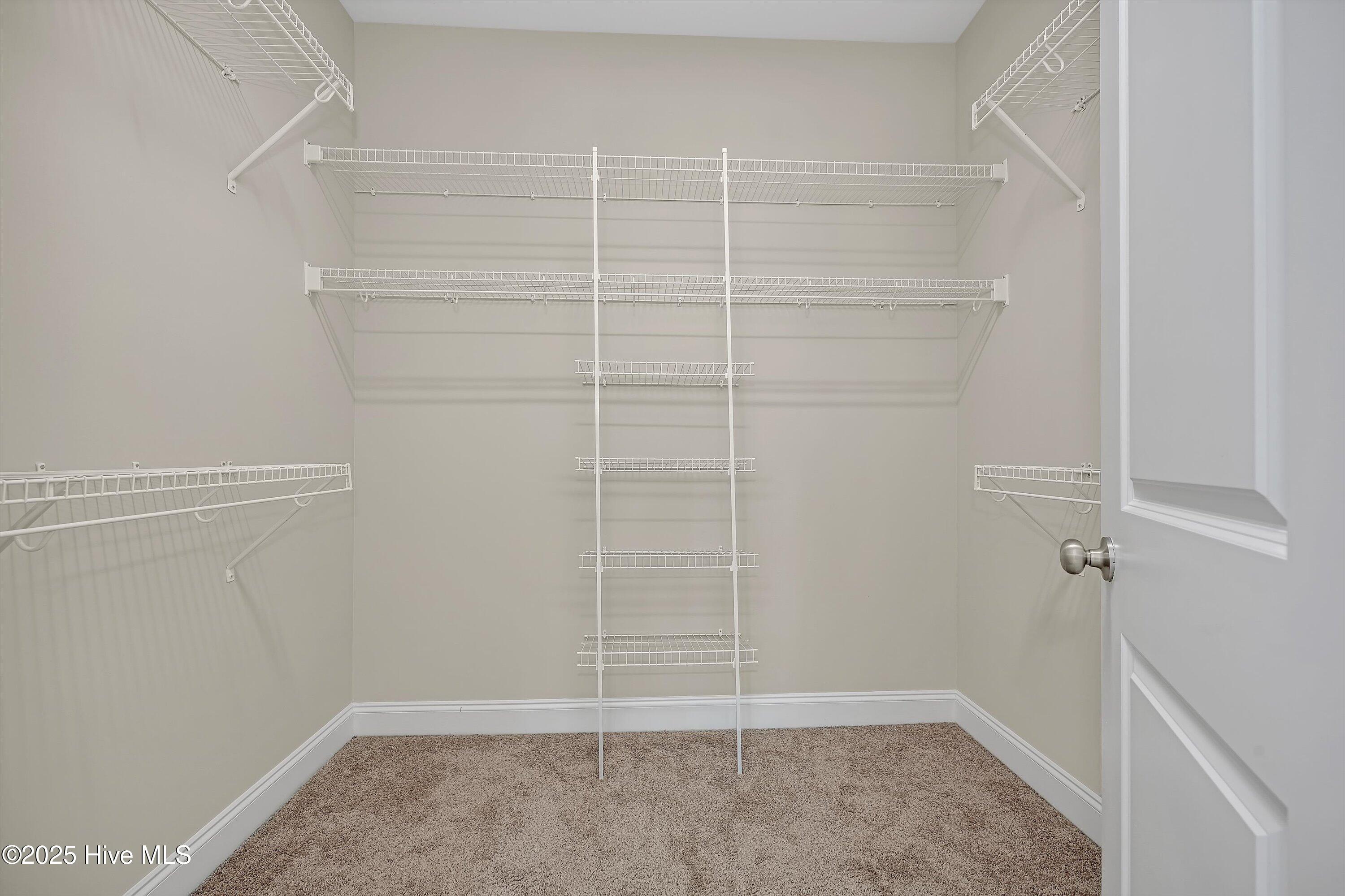 100543084 | Photo 27