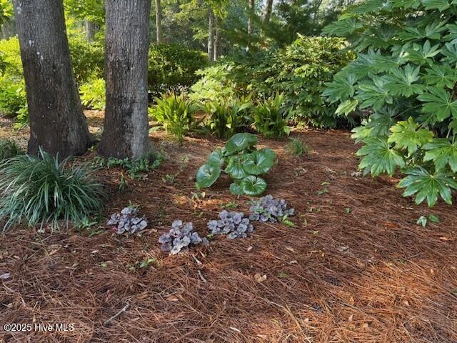 100538166 | Photo 48