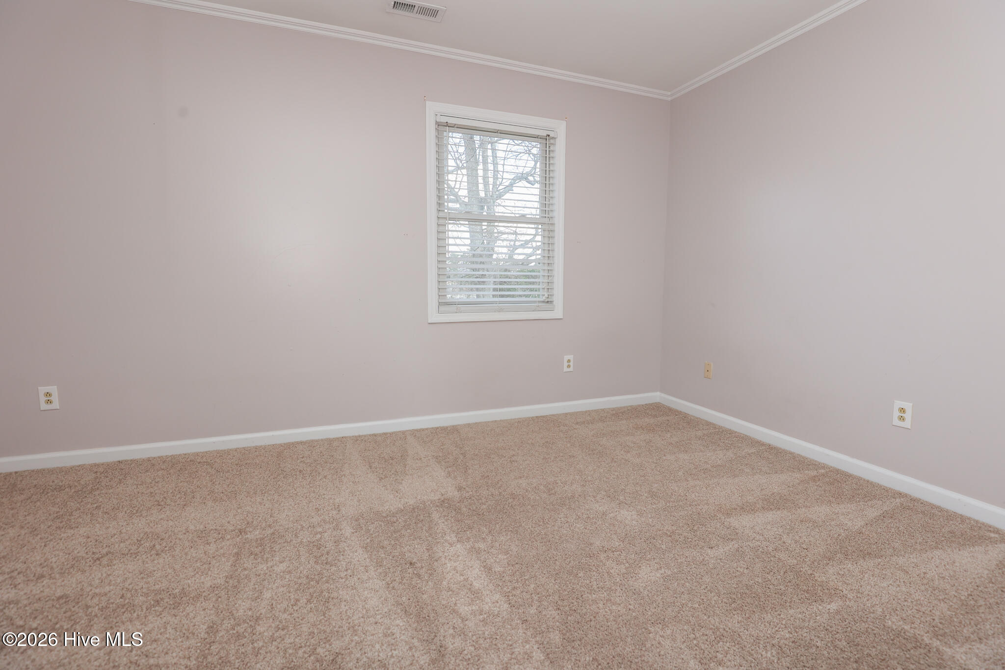 100559249 | Photo 28