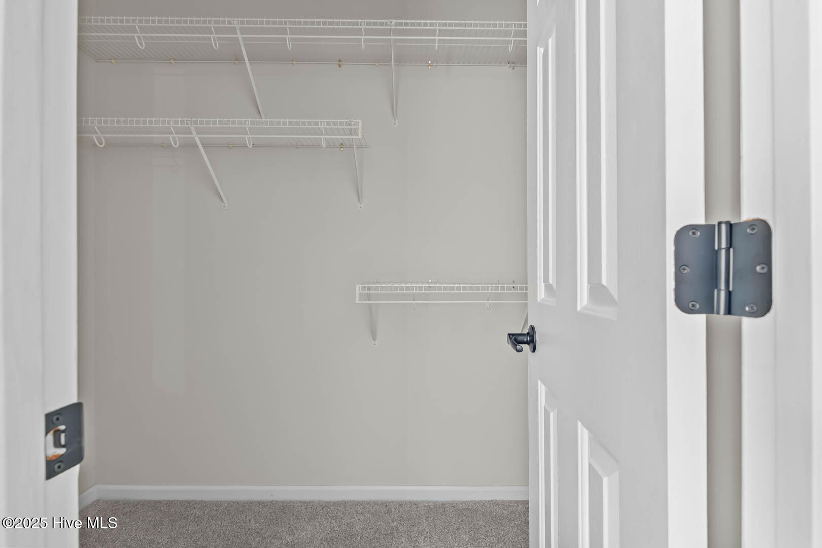 100544064 | Photo 30