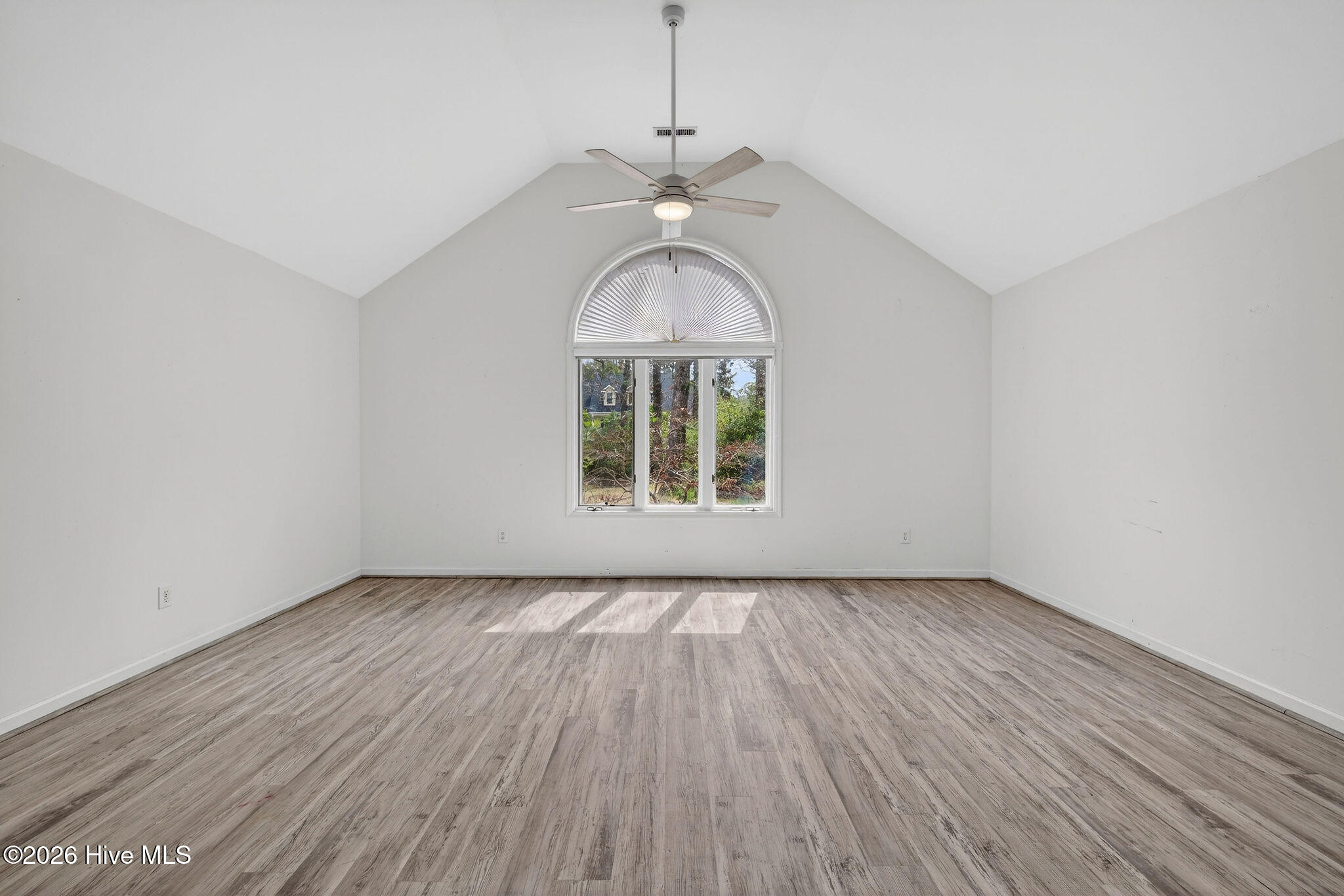 100556345 | Photo 18