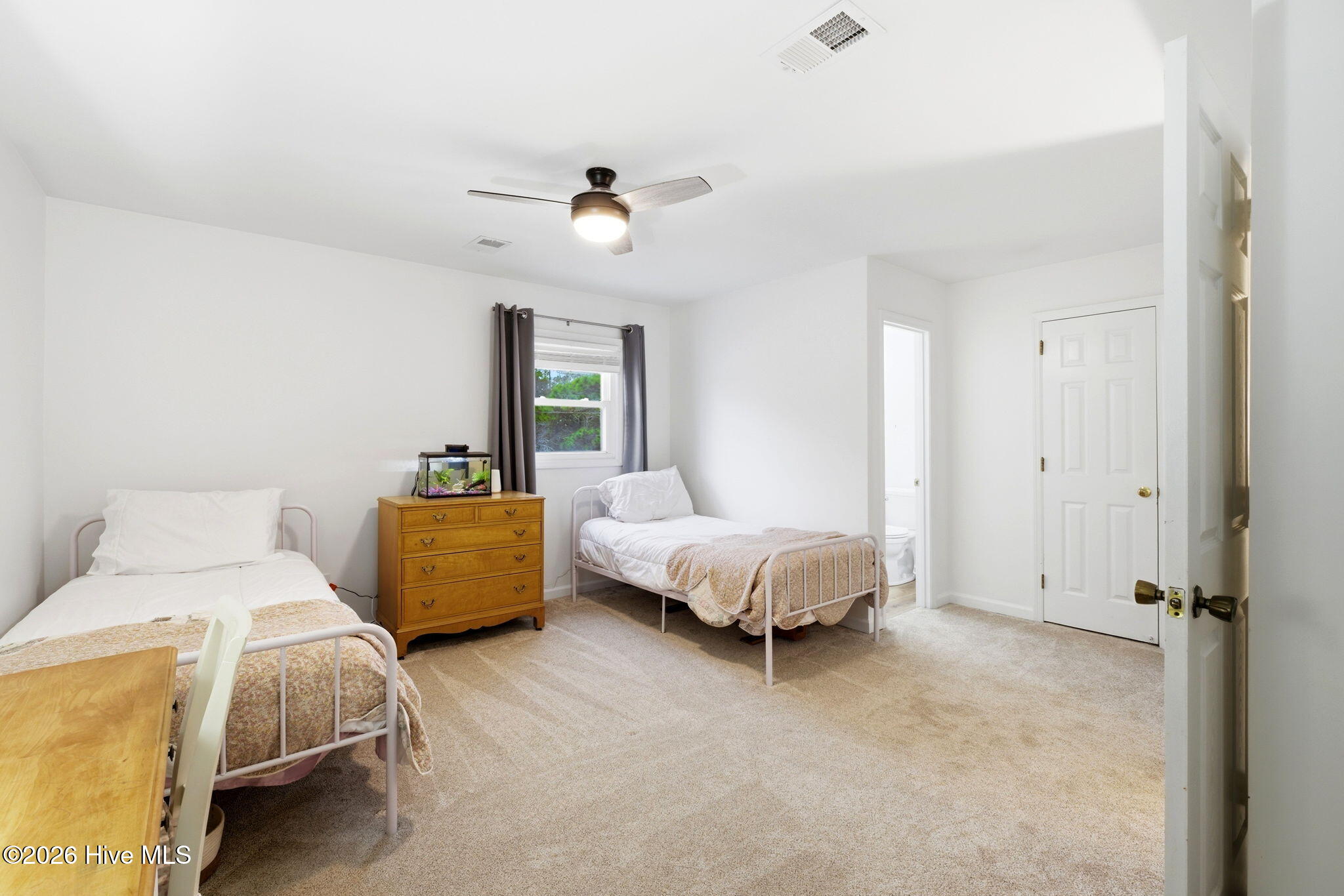 100557062 | Photo 23