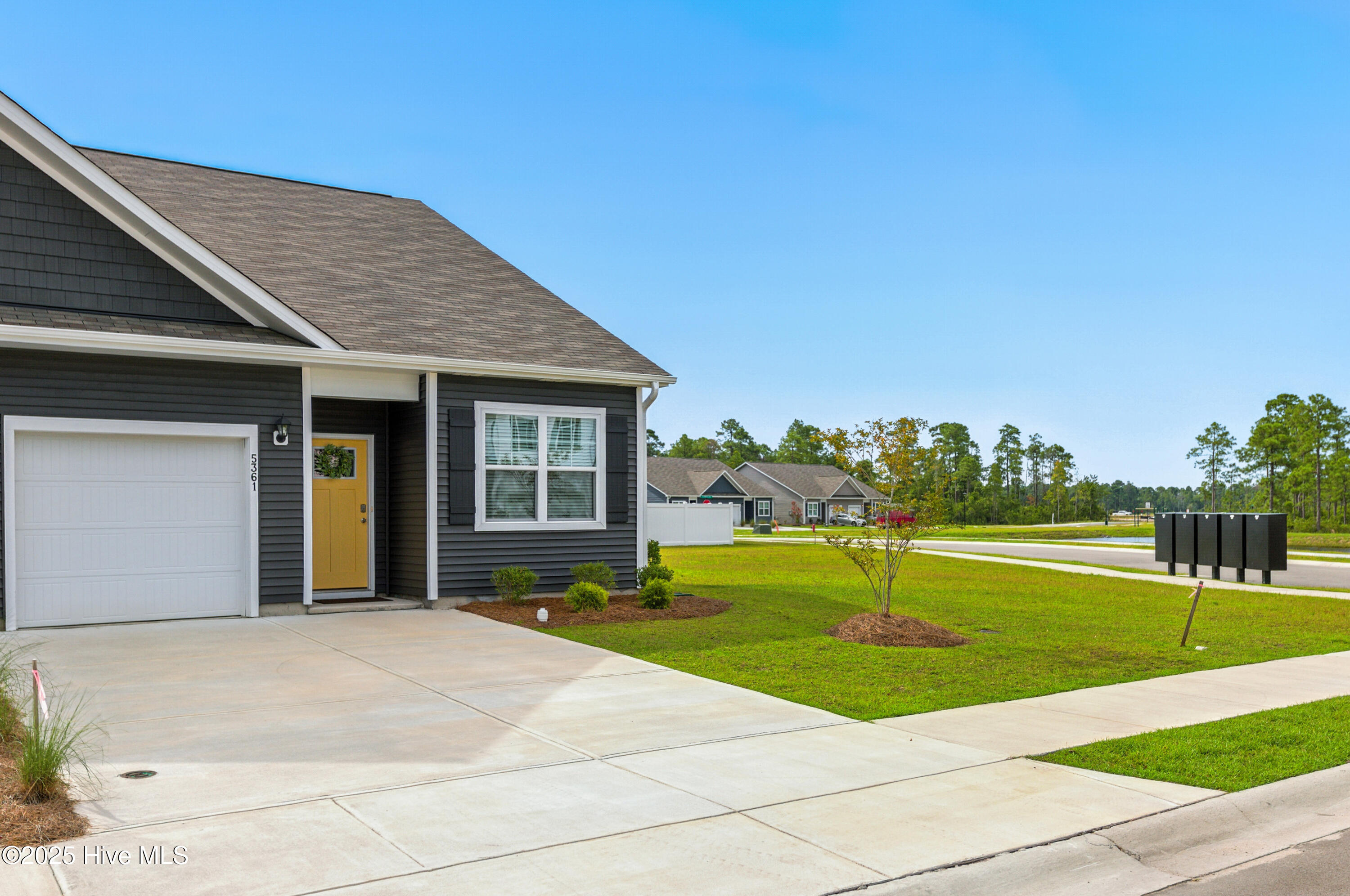 003_5361_gladecress-03_786