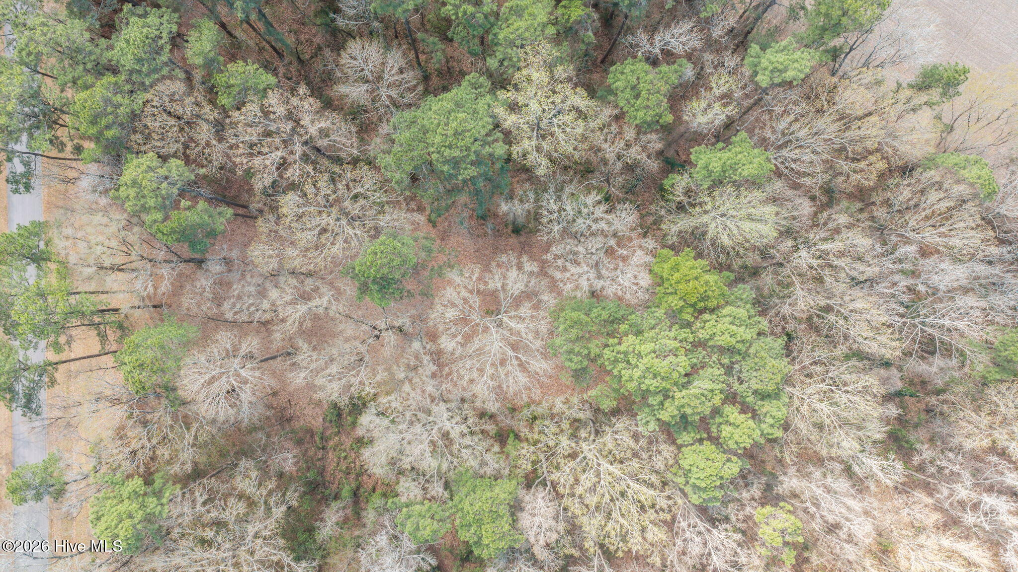 16 Winfield Lane, Pinetown, NC, 27865