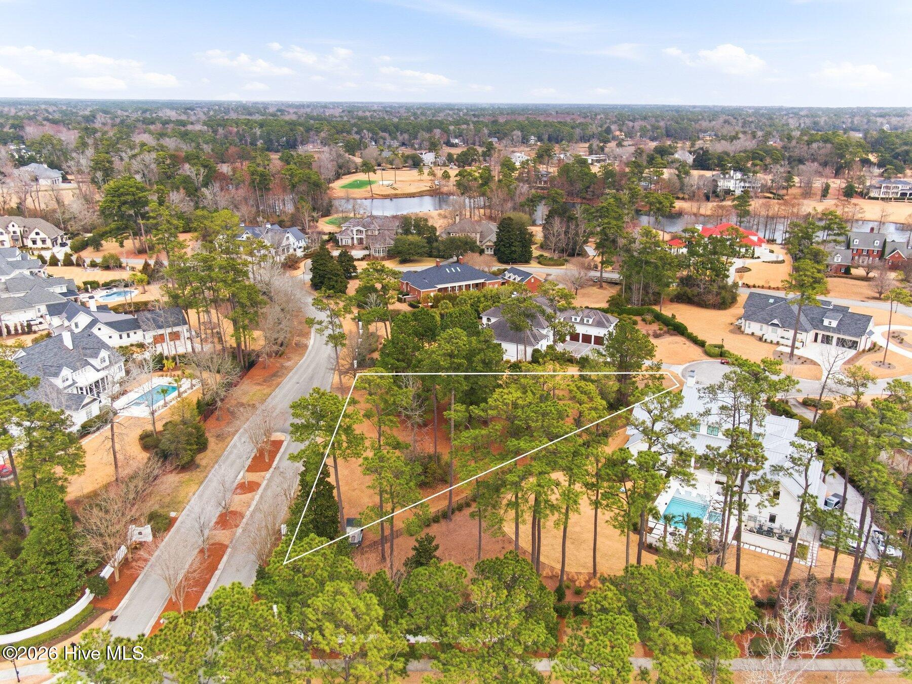 100556148 | Photo 18