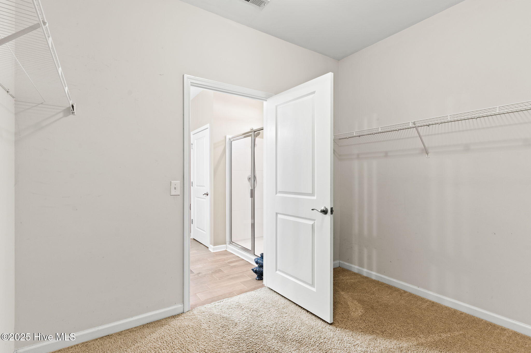 100538184 | Photo 29