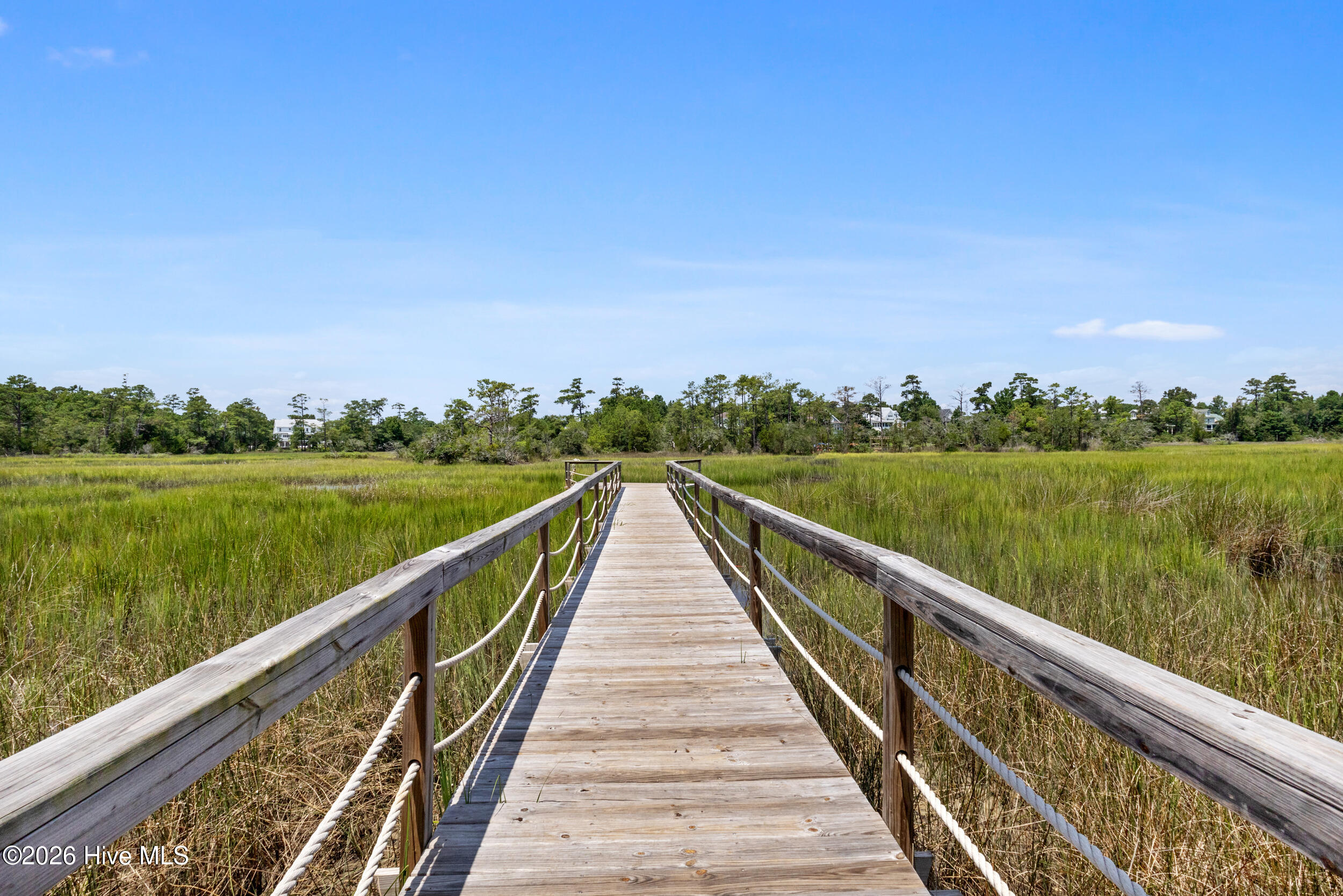 100551729 | Photo 64