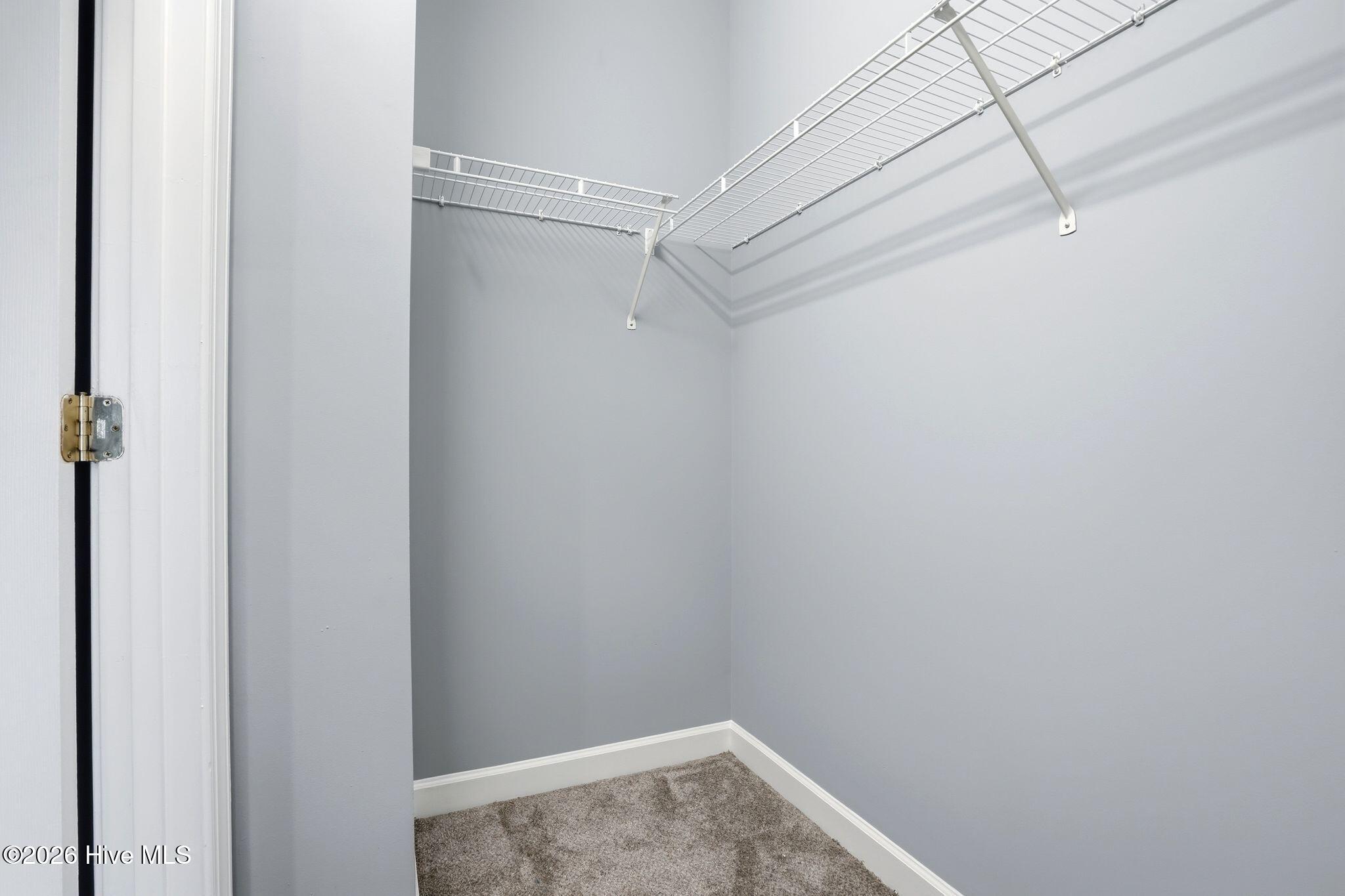 100559771 | Photo 20