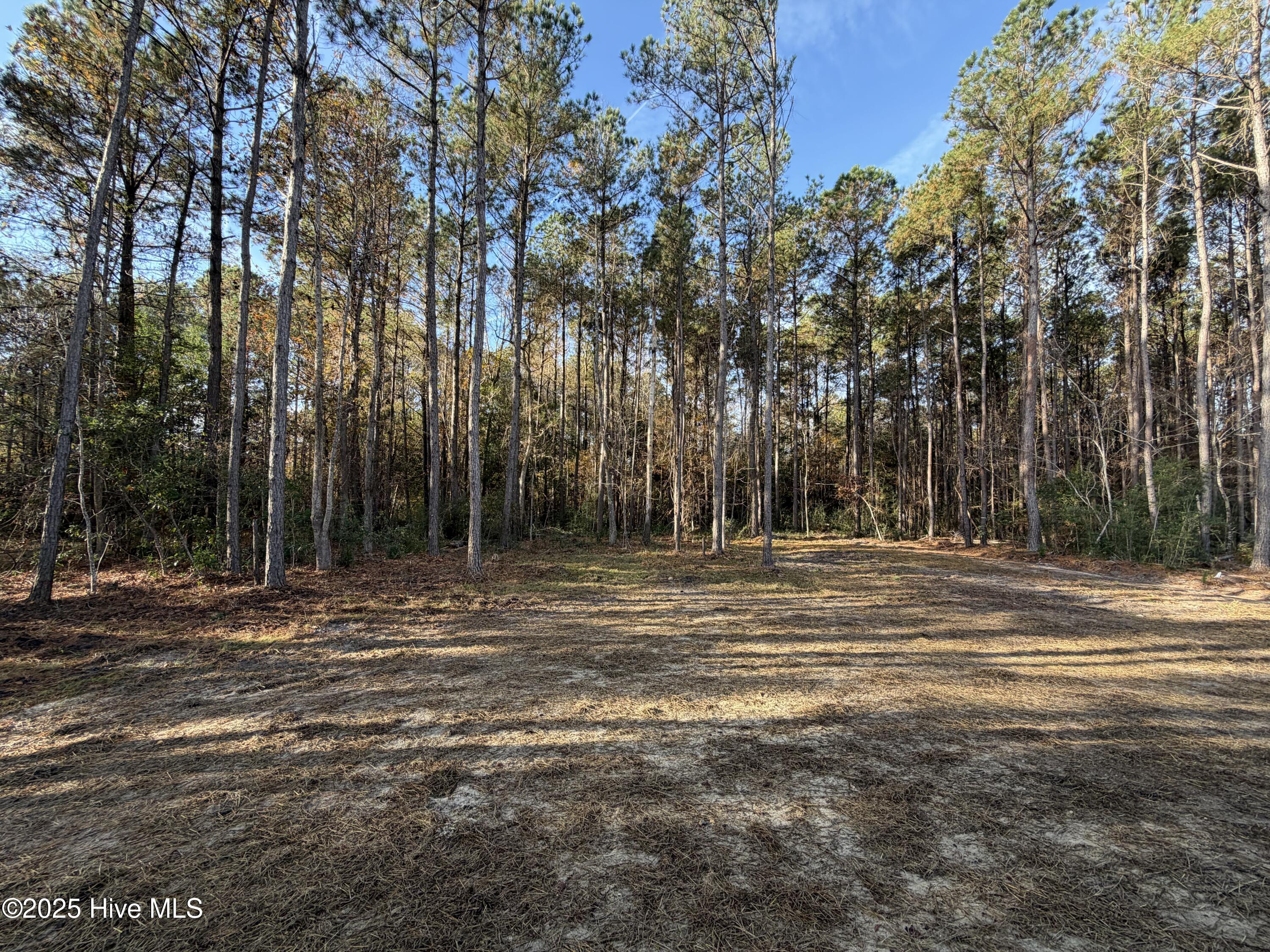 100542978 | Photo 13