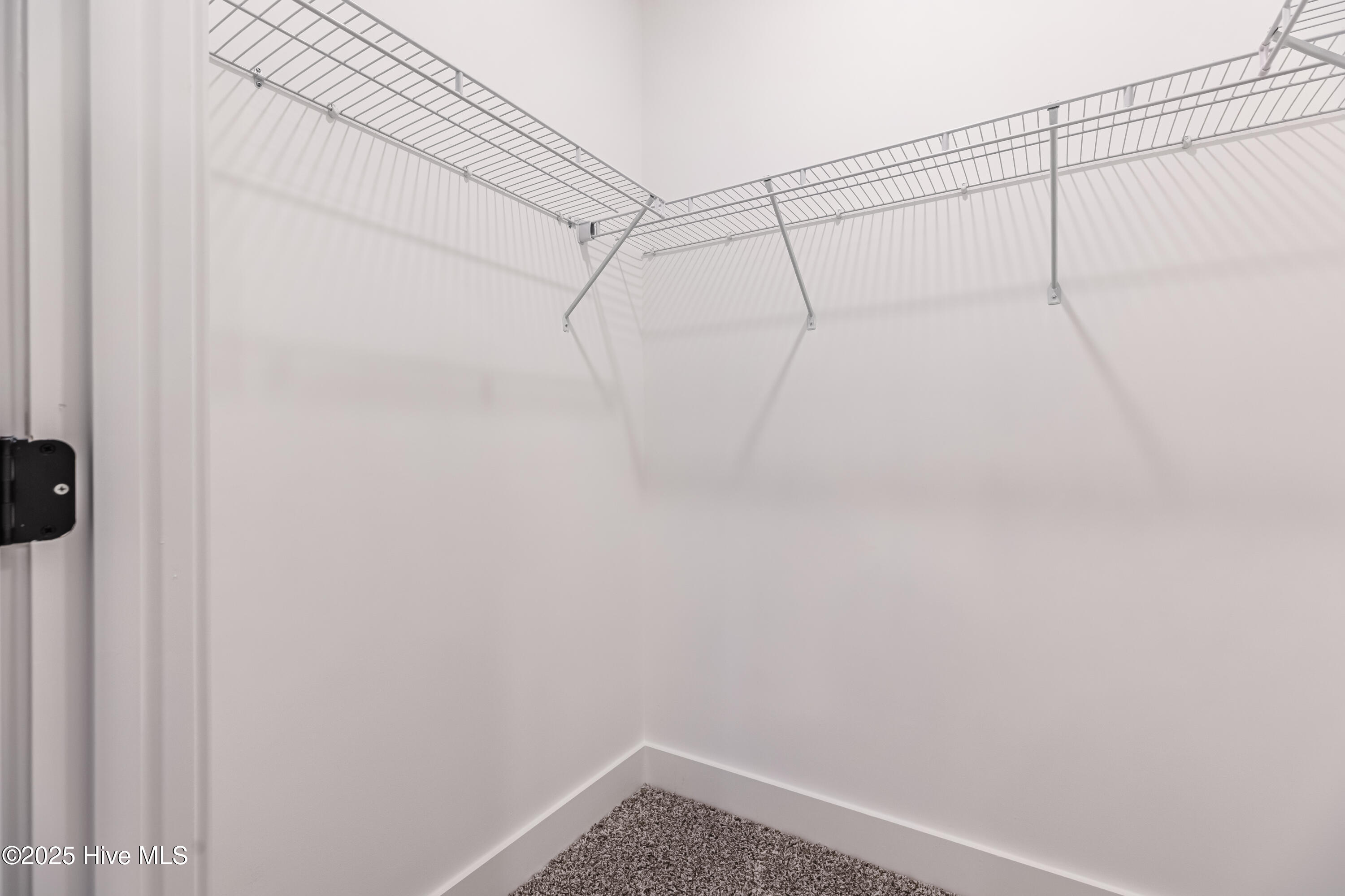 100529358 | Photo 20