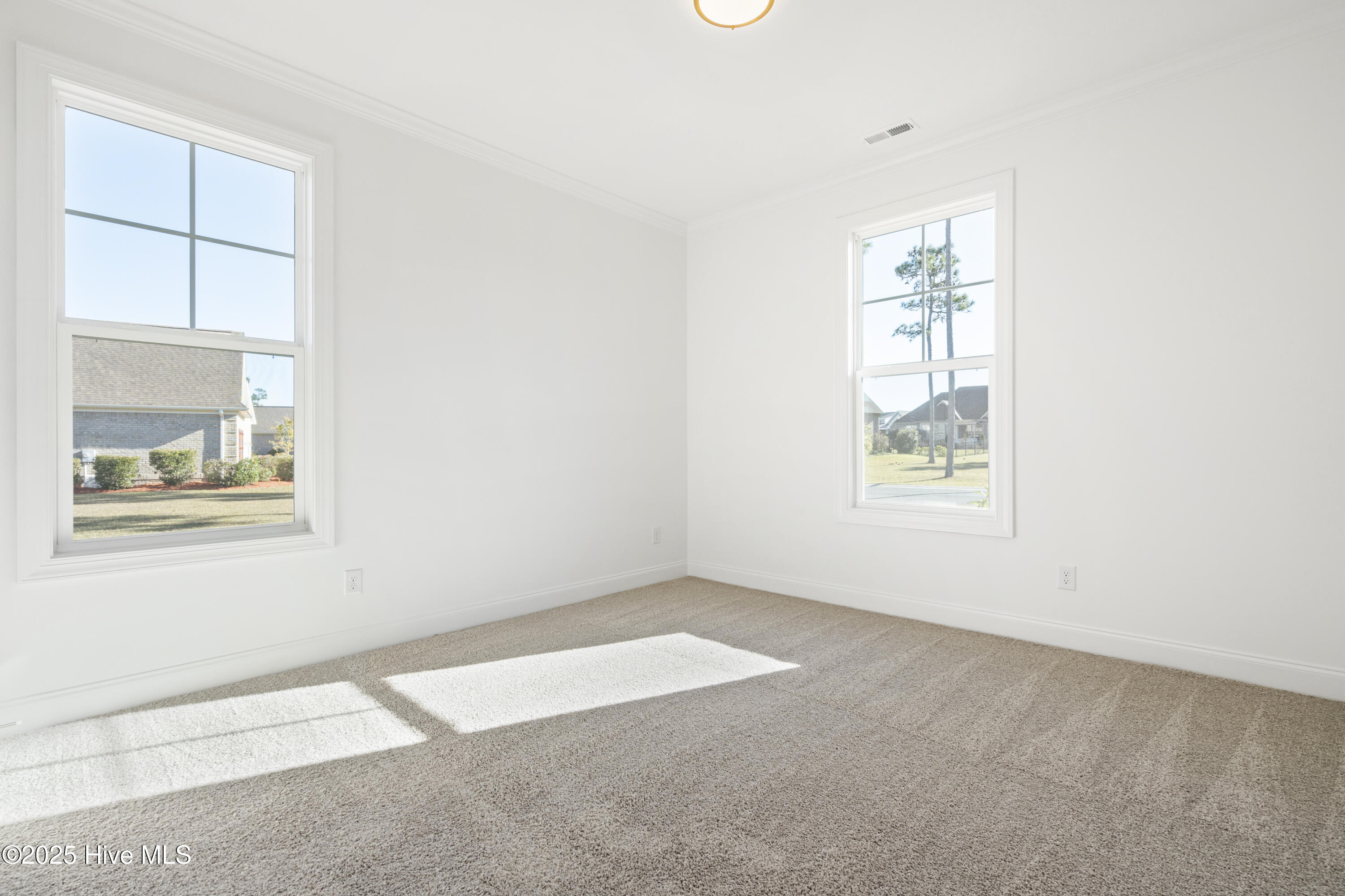 100493135 | Photo 40