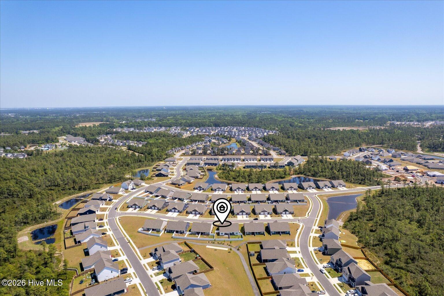 100568001 | Photo 47