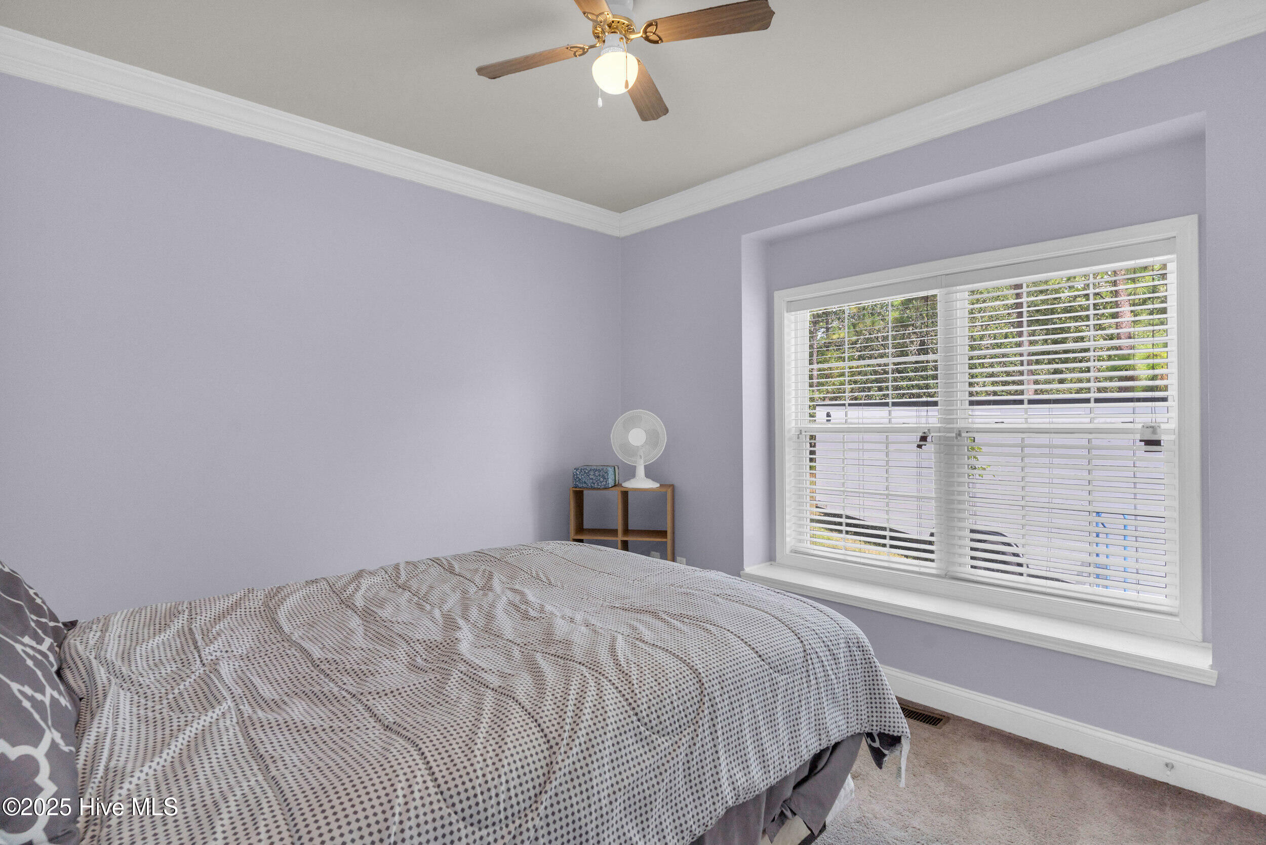 100521196 | Photo 18