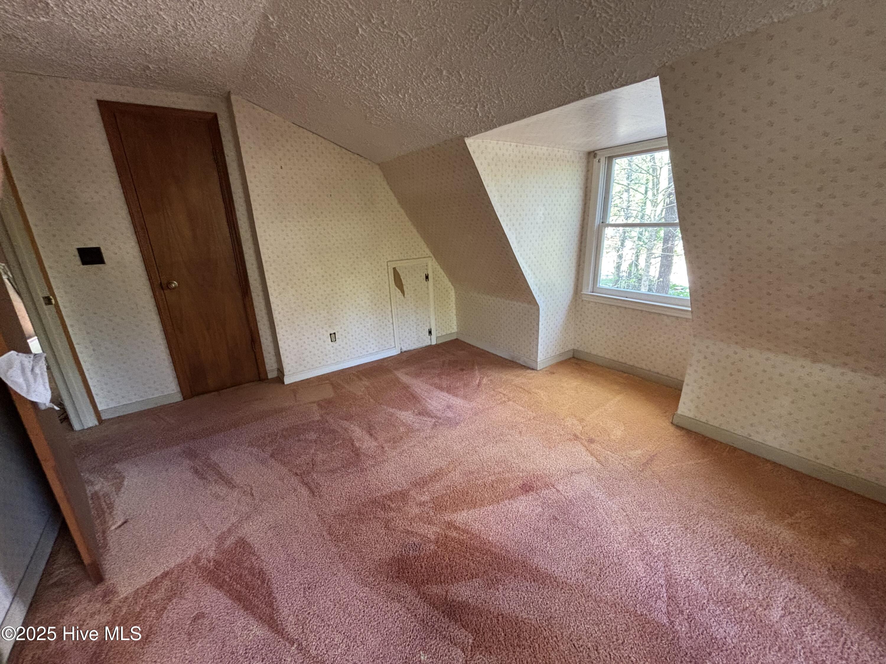 100514215 | Photo 10