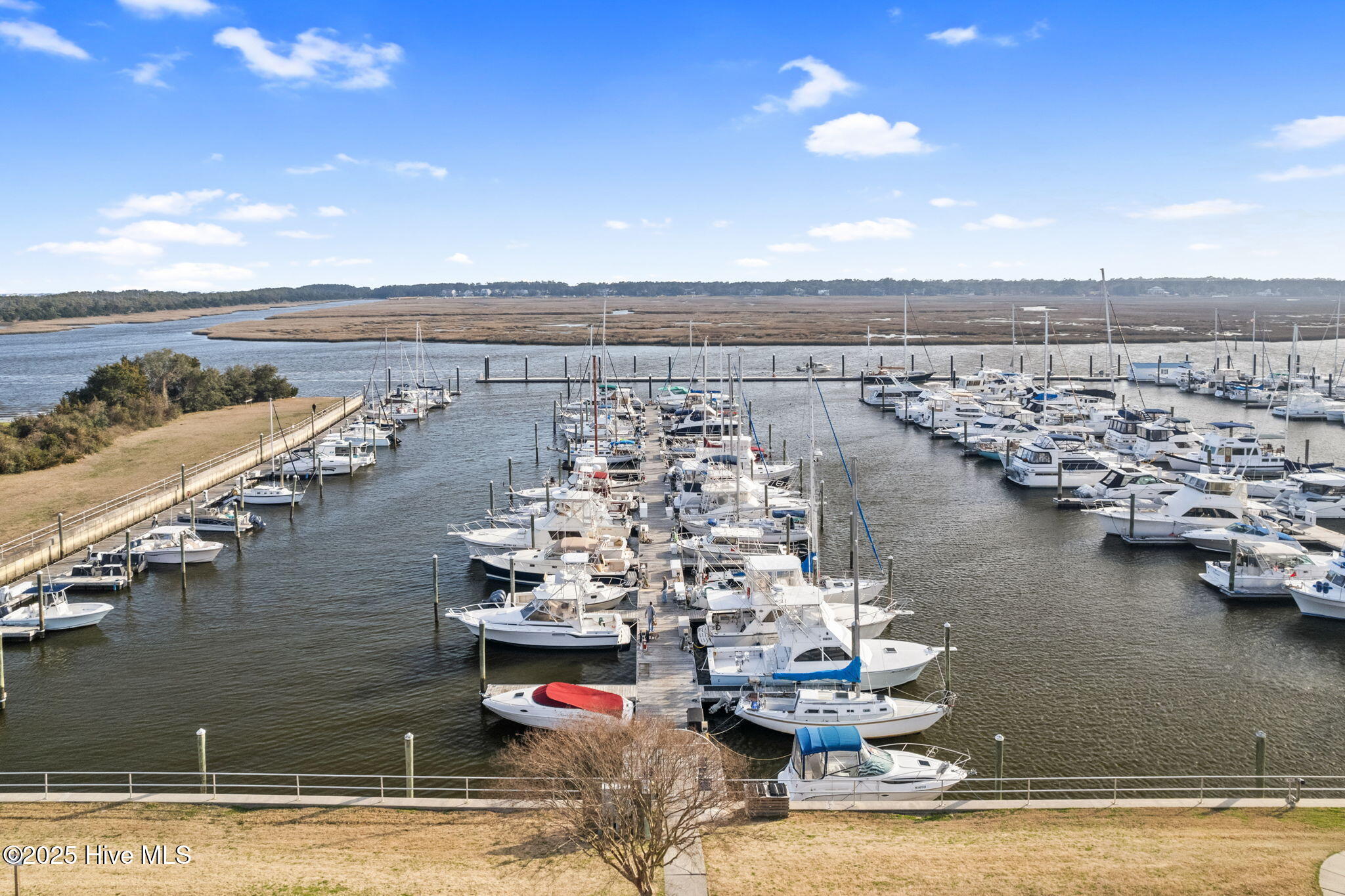 100548558 | Photo 54