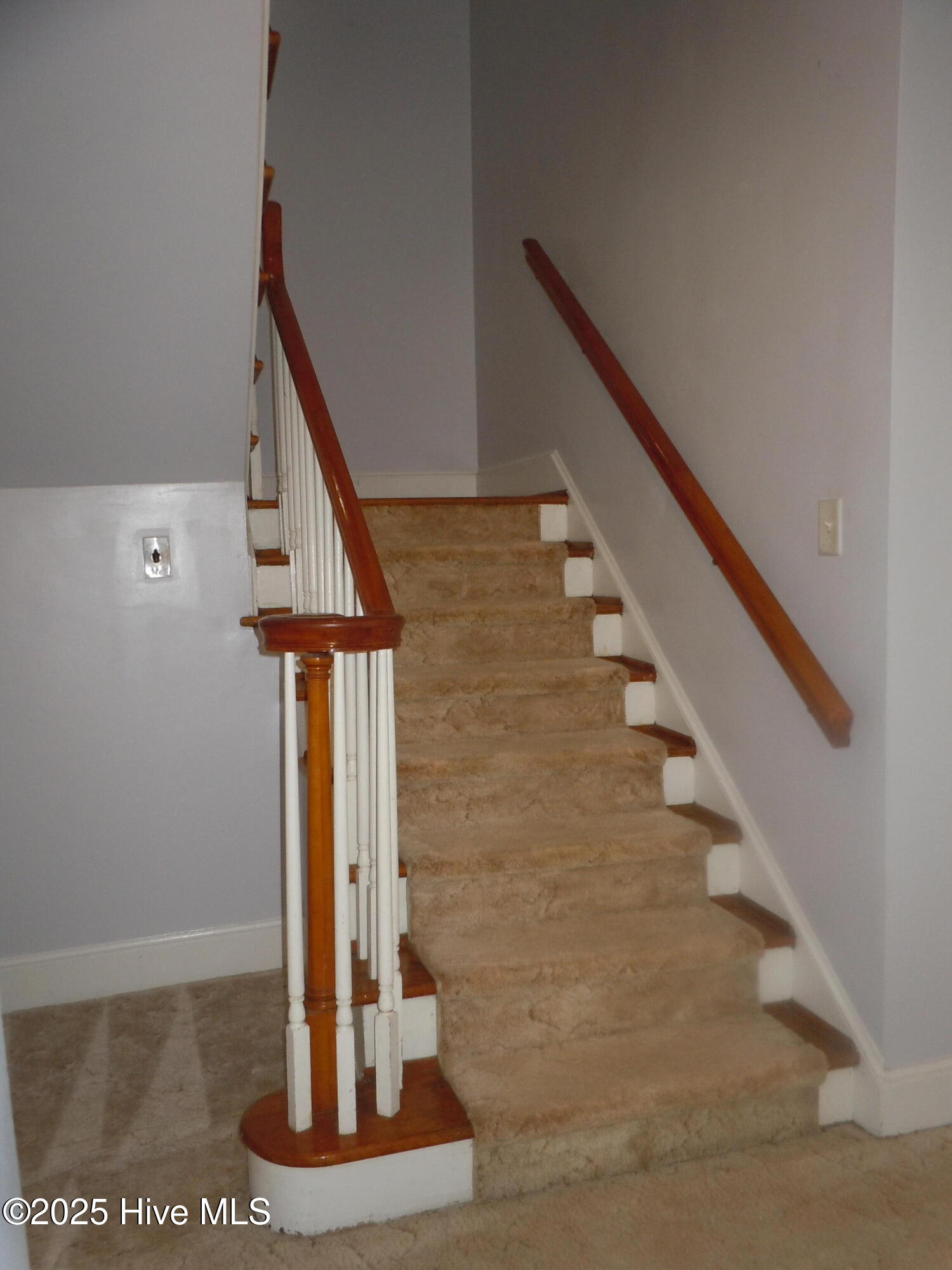 100536293 | Photo 30