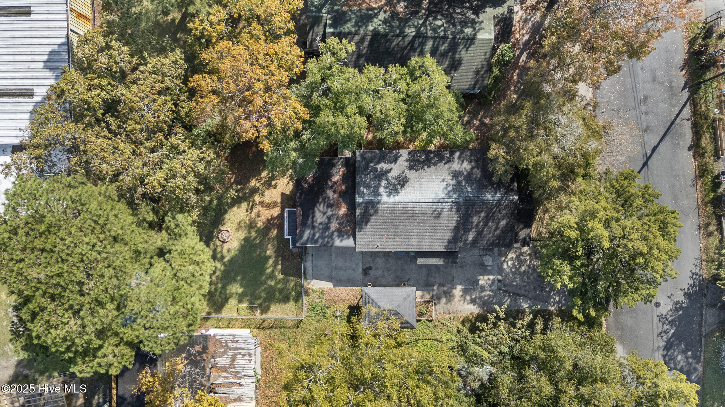 100520819 | Photo 45