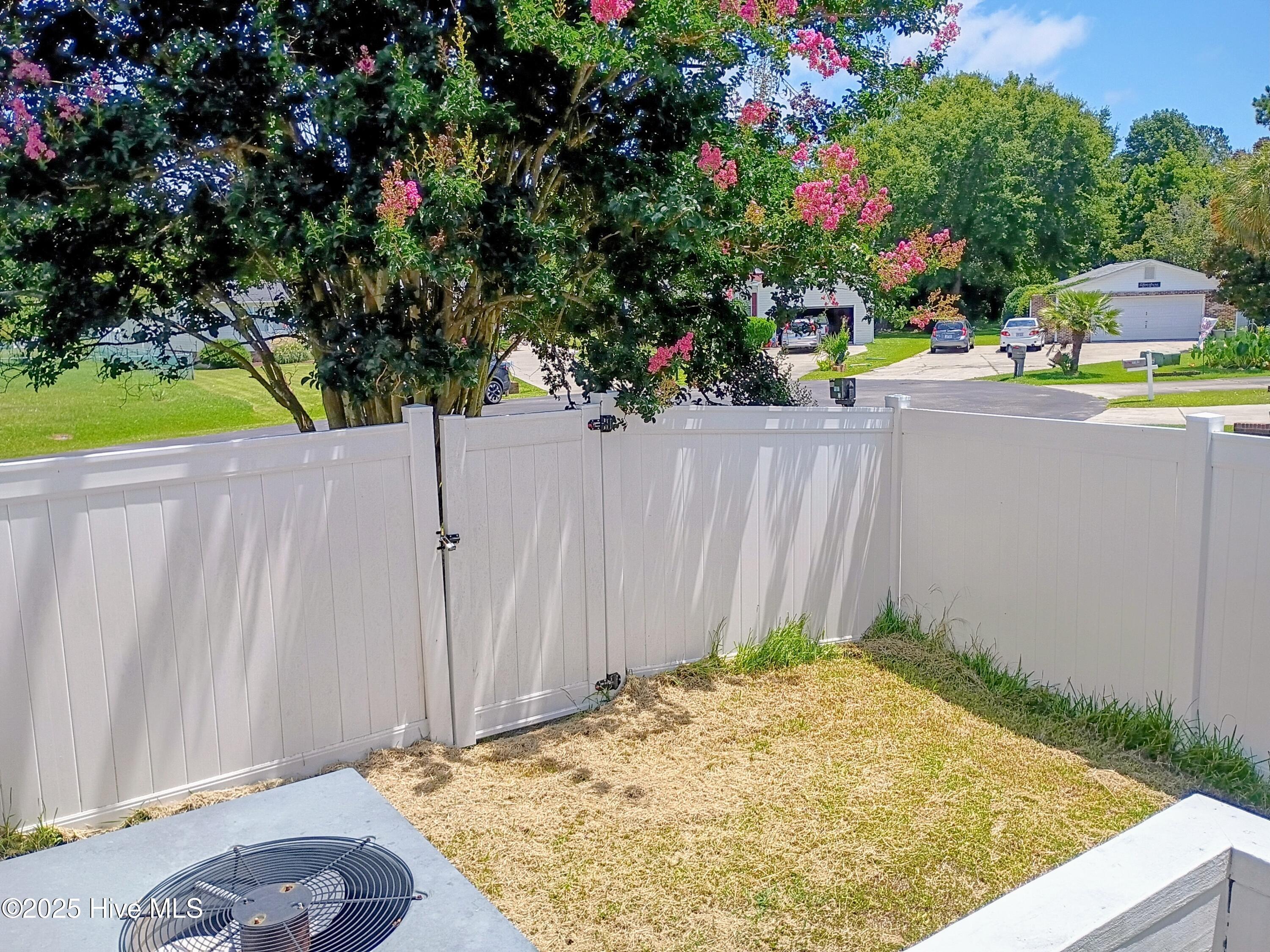 100519536 | Photo 23