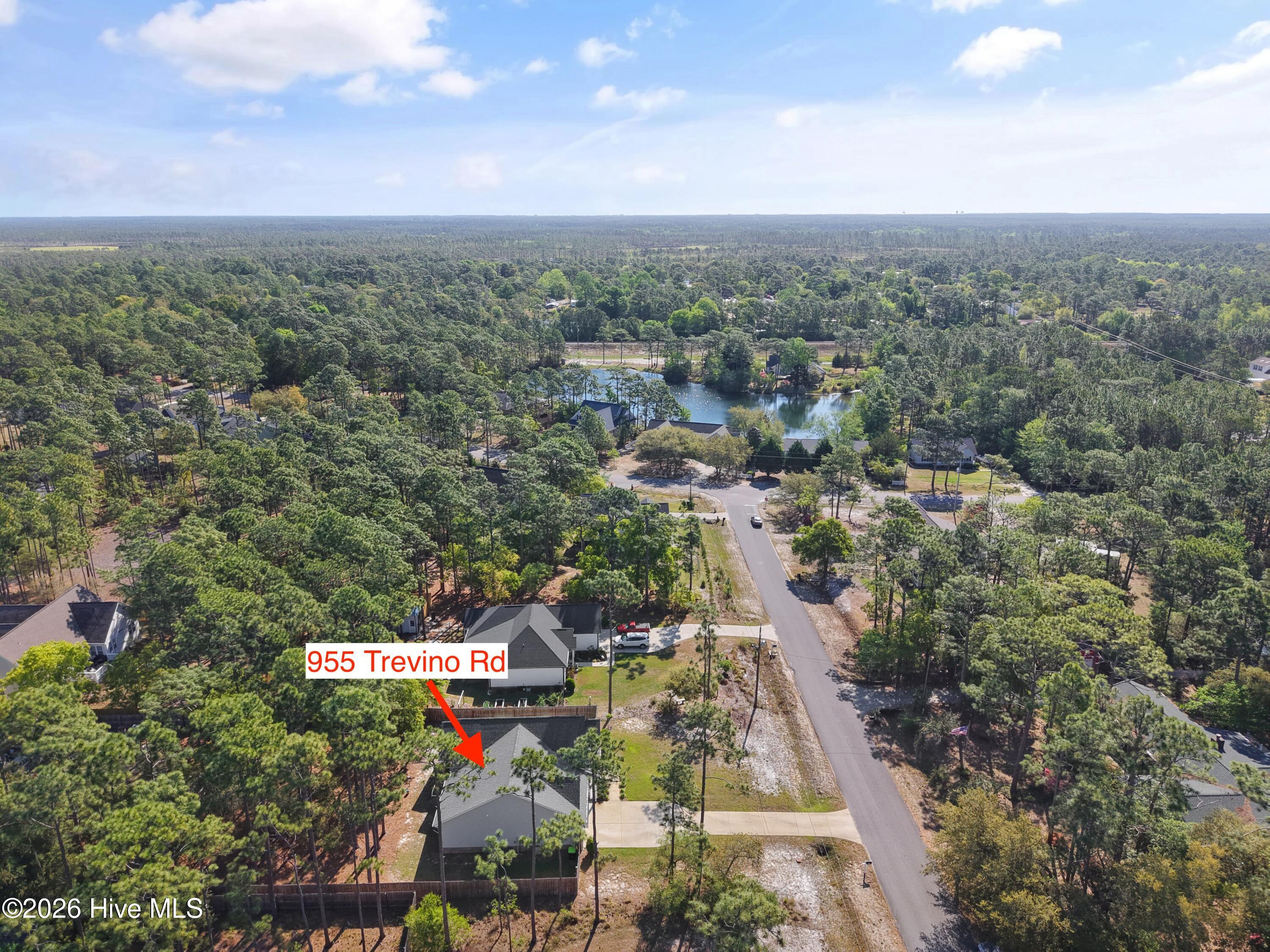 100568051 | Photo 45