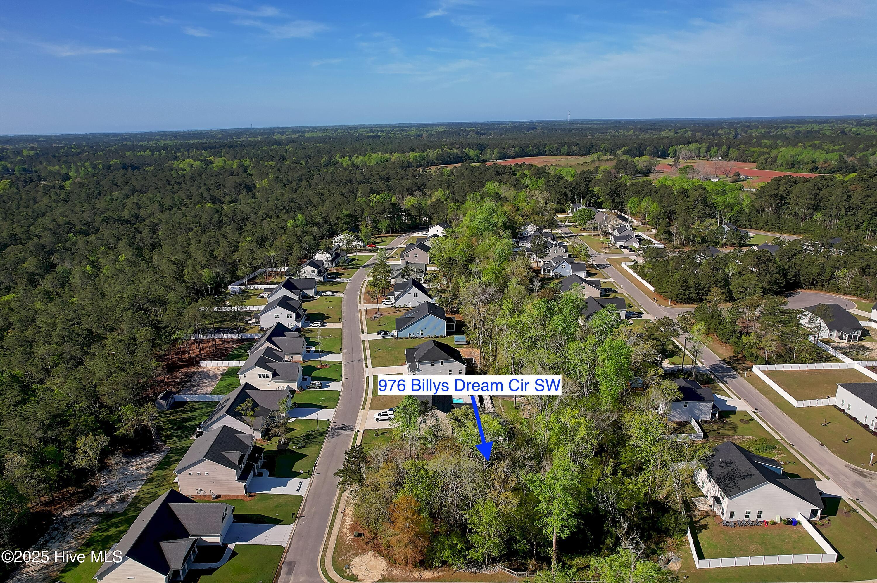 100500002 | Photo 10