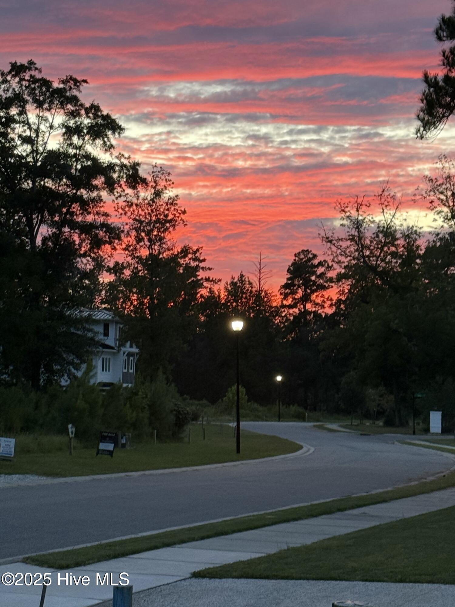 100515676 | Photo 23