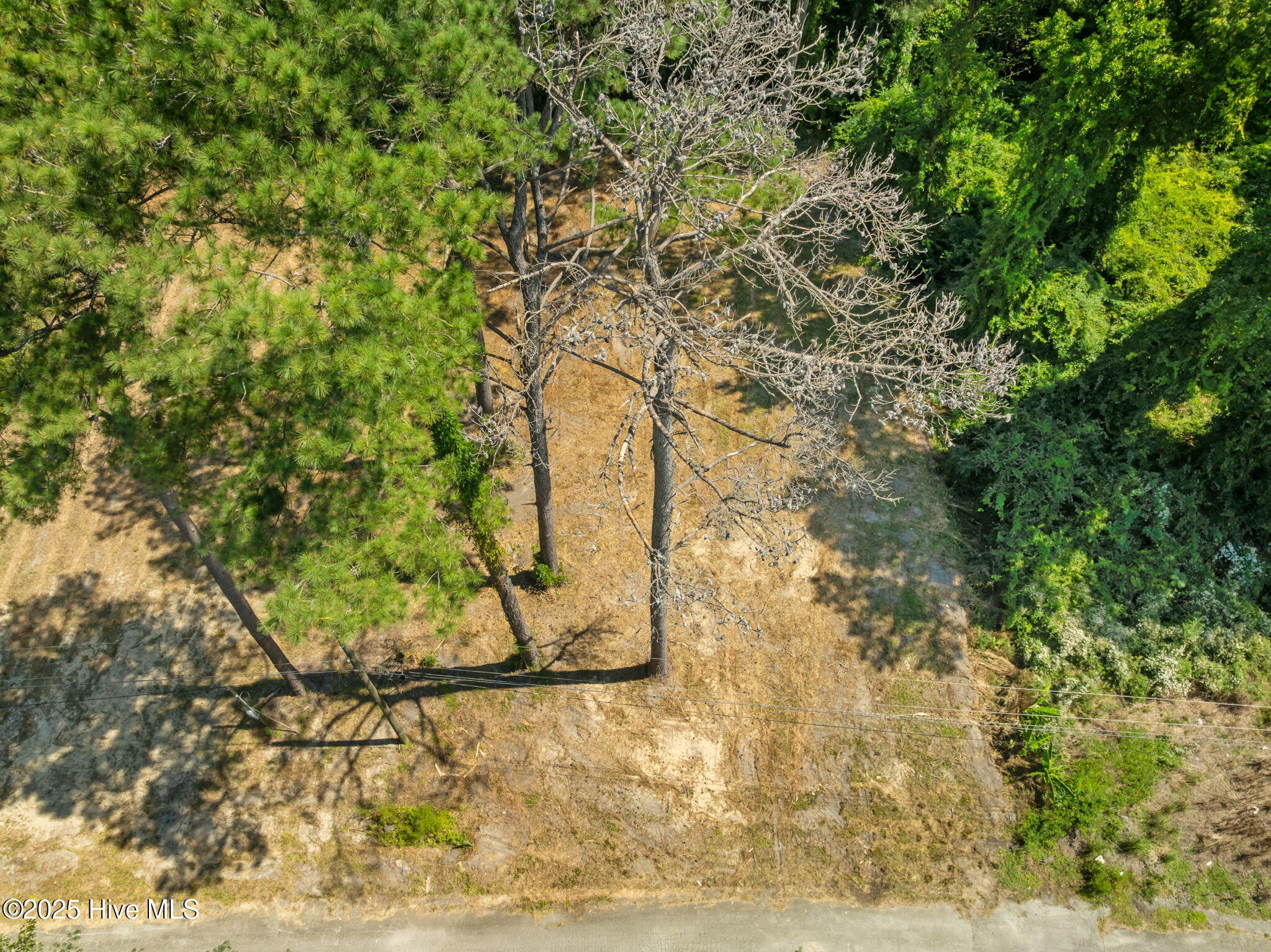 100529346 | Photo 13