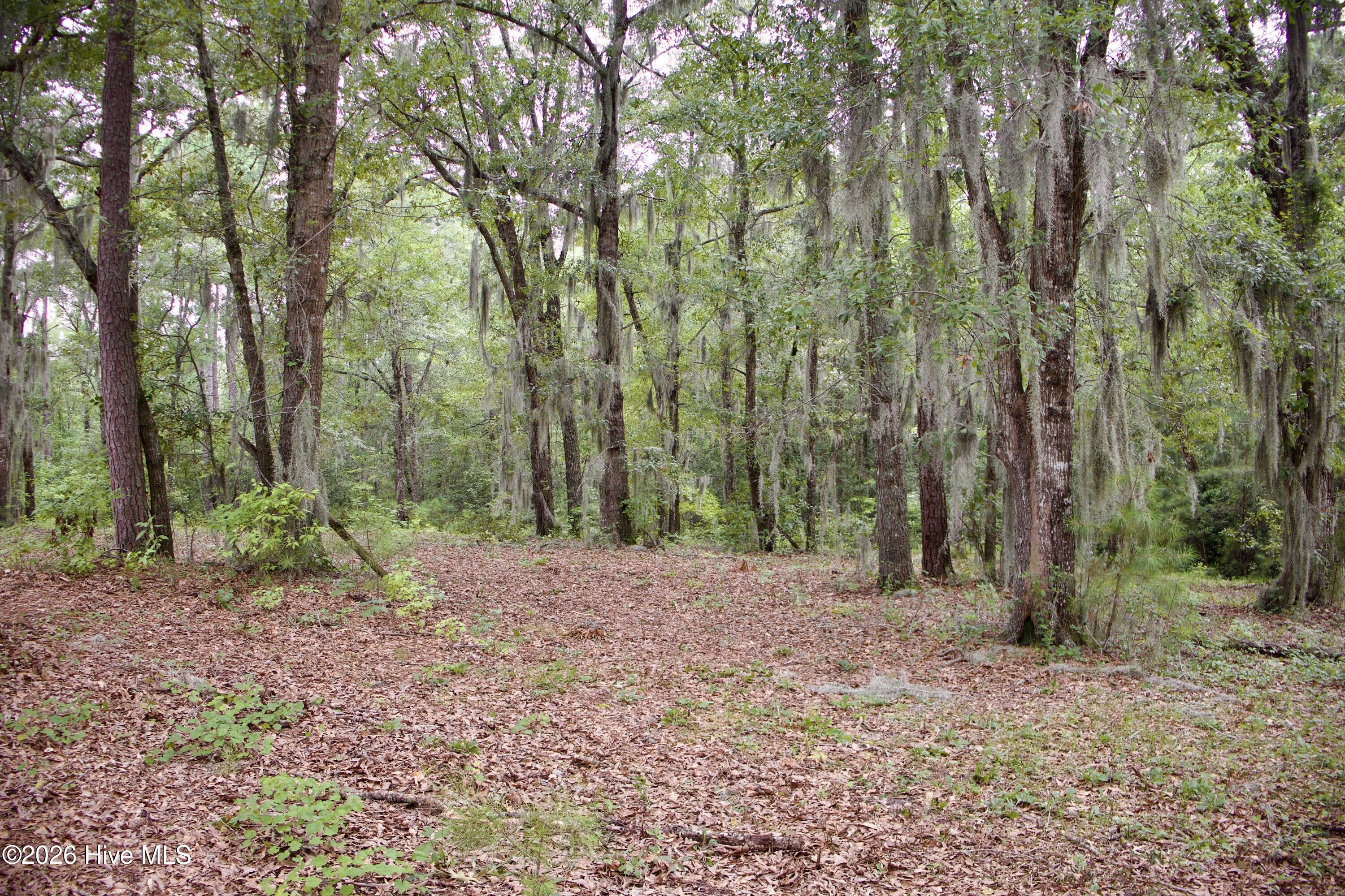 385 Sand Ridge Road,New Bern