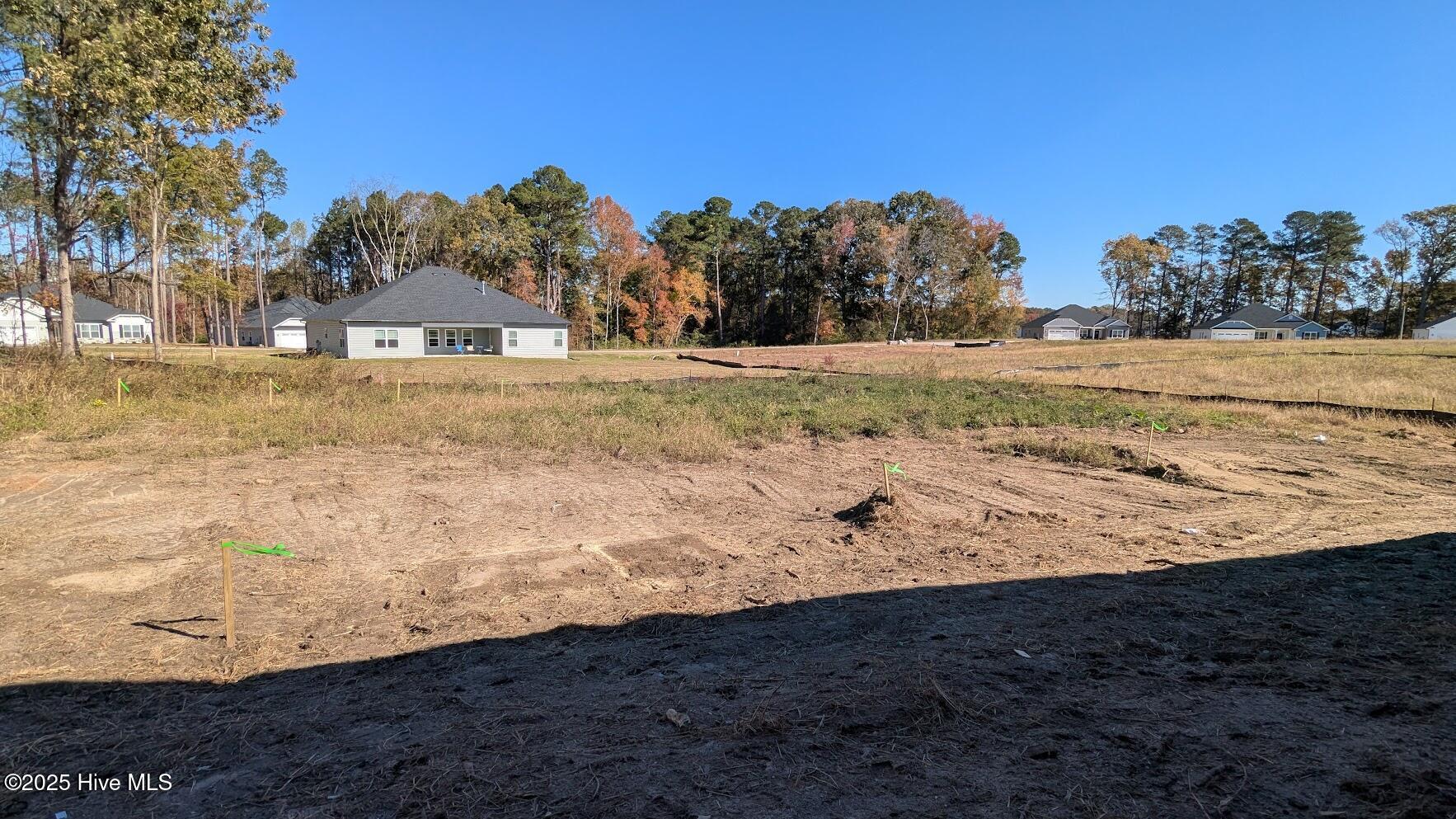 Homes for sale in Nashville, NC | 600 Sweet Potato Lane #Lot 38, Nashville, NC 27856 | MLS# 100504685