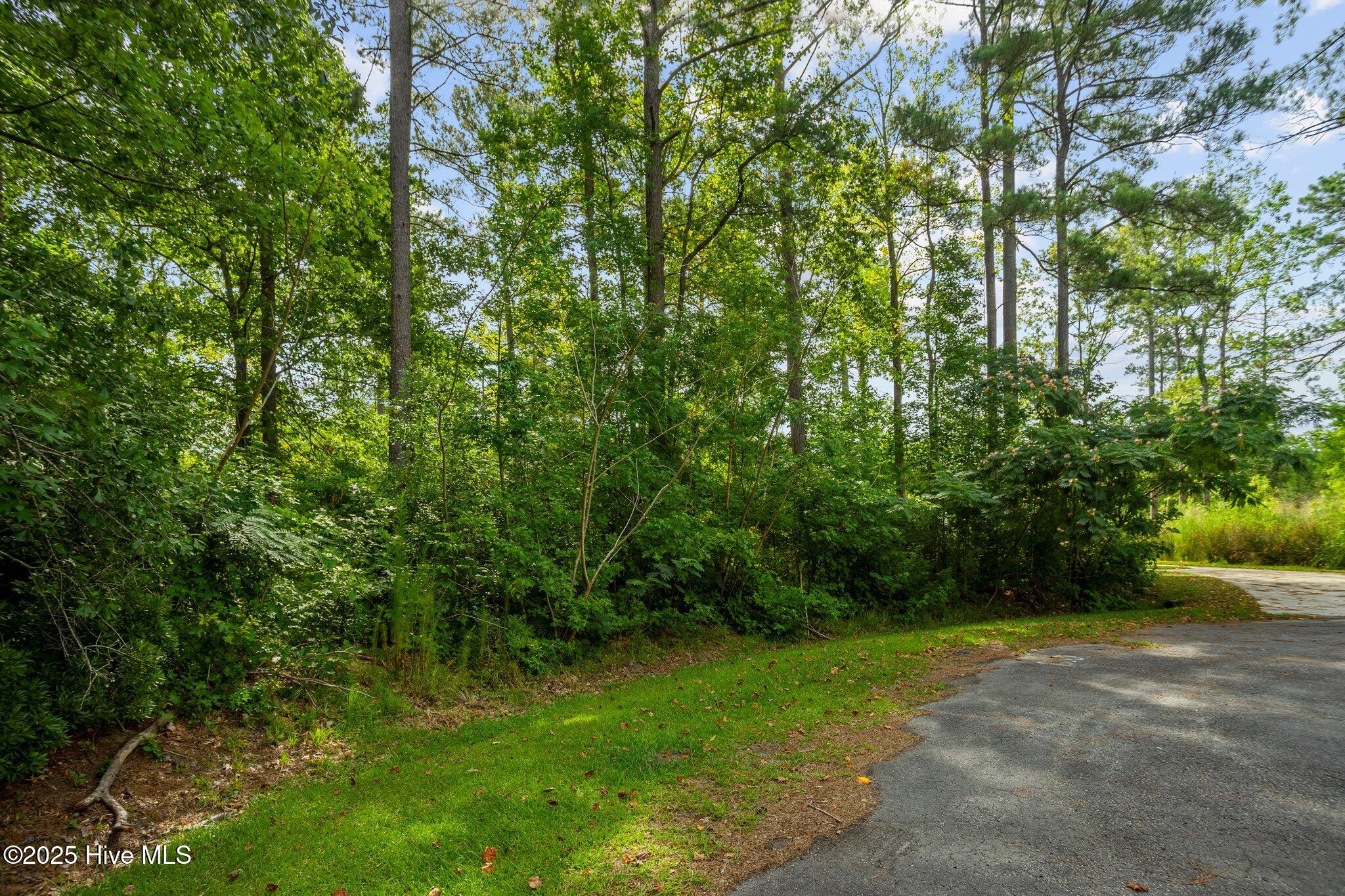 178 Marsh Run, Oriental, NC, 28571
