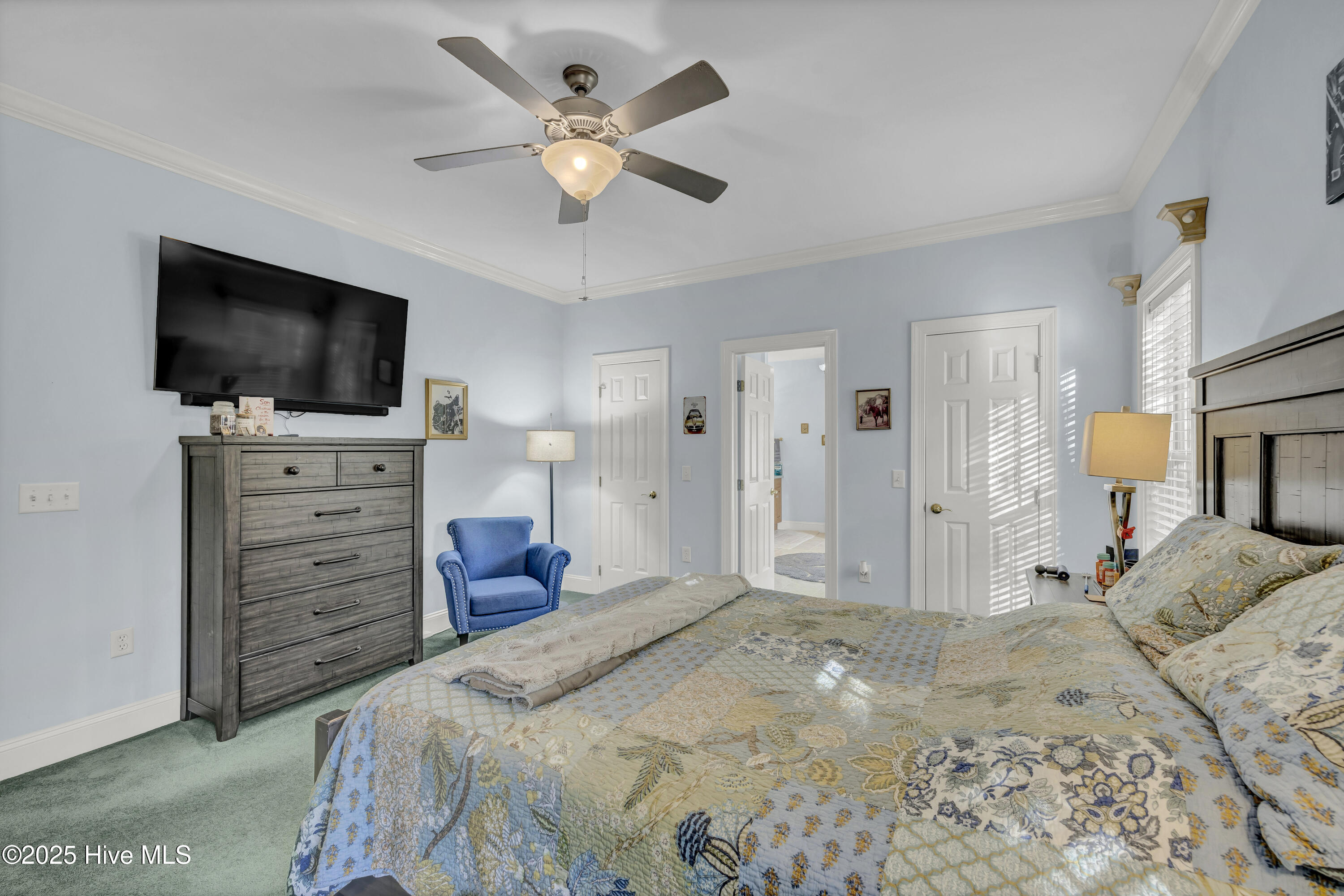 100546404 | Photo 15