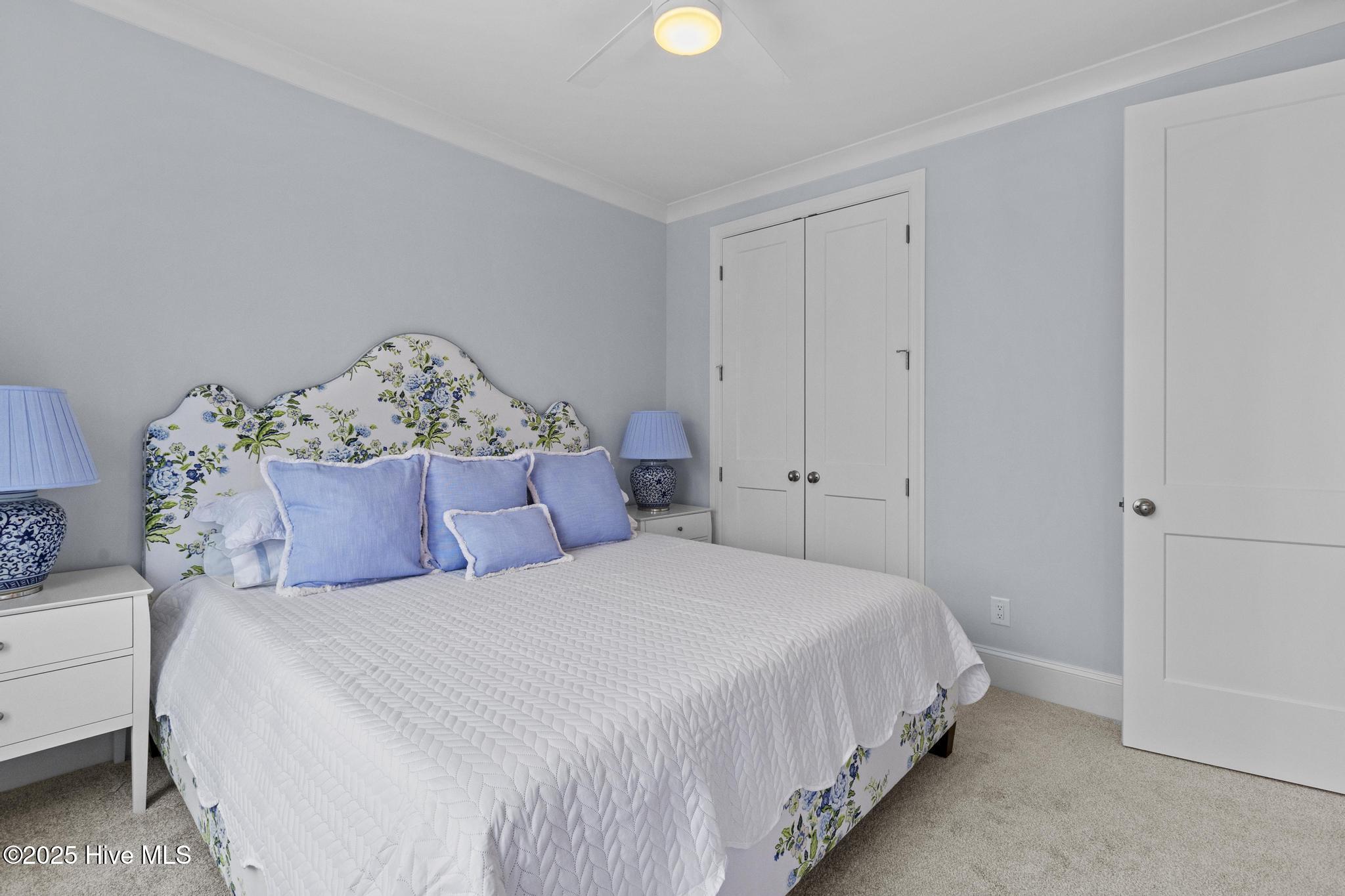 100565849 | Photo 35