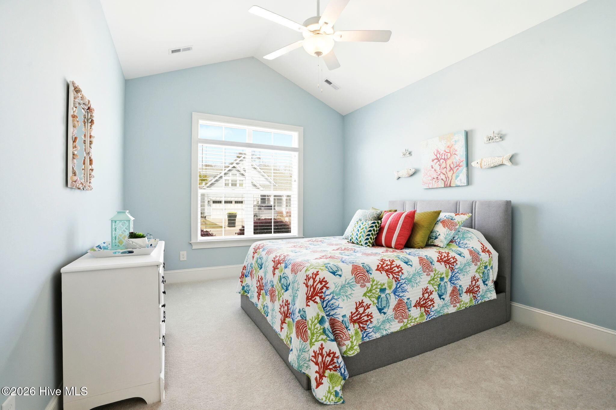 100563087 | Photo 24