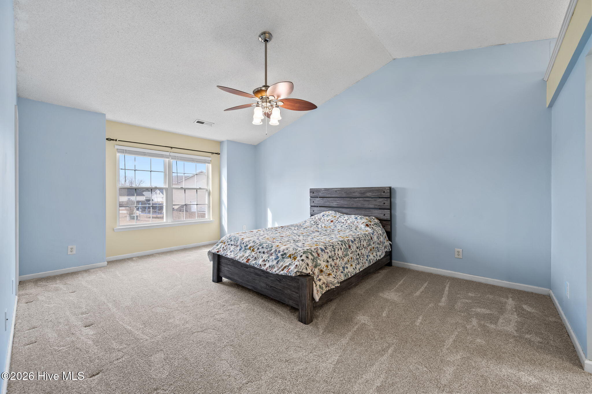 100552241 | Photo 24