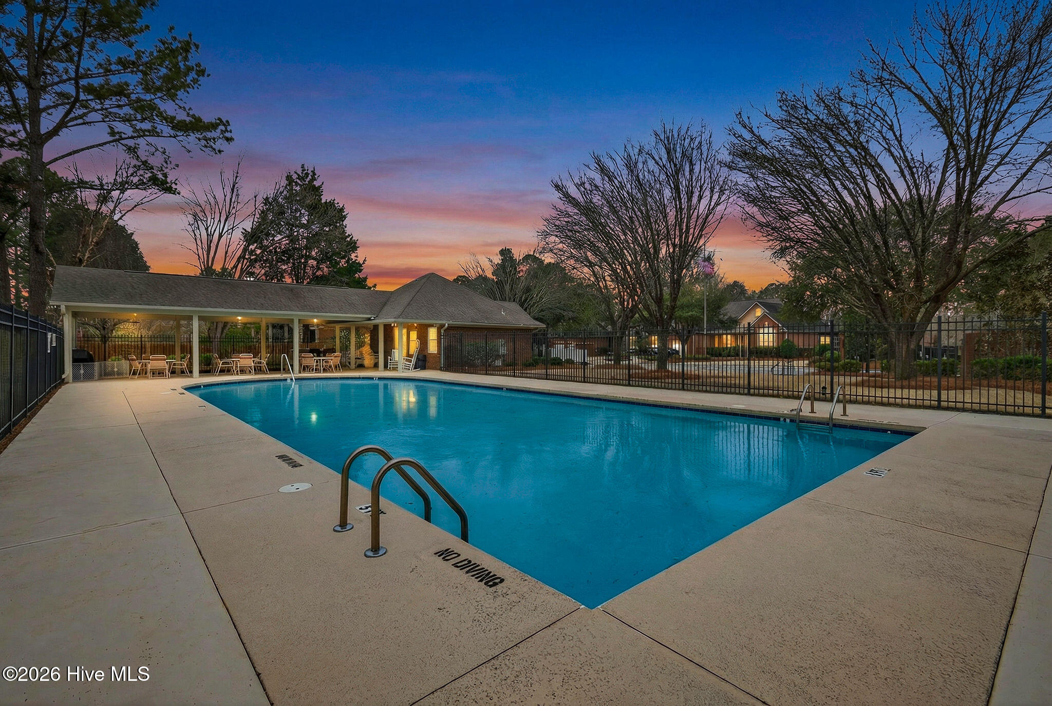 100557092 | Photo 57