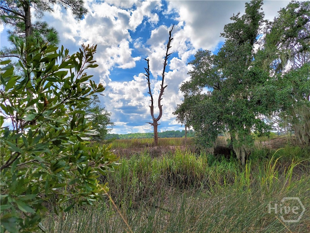 193 Burton, Savannah, Georgia, 0 ,Land,For sale,Burton,SA340609 193 Burton, Savannah, Georgia, 0 ,Land,For sale,Burton,SA340609