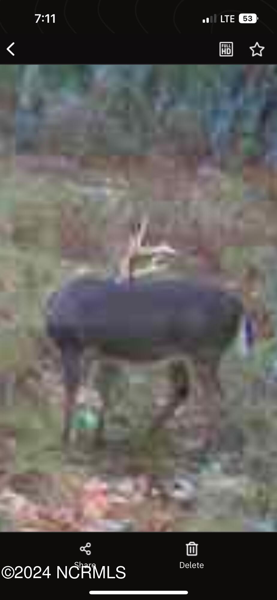 100460239 | Photo 10