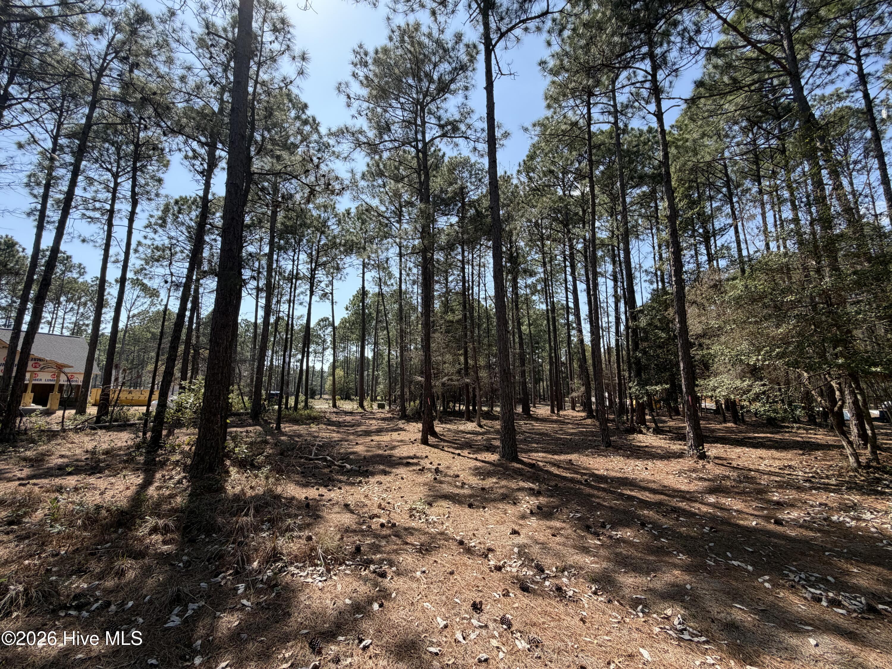 6786 Holton Place, Ocean Isle Beach, NC, 28469