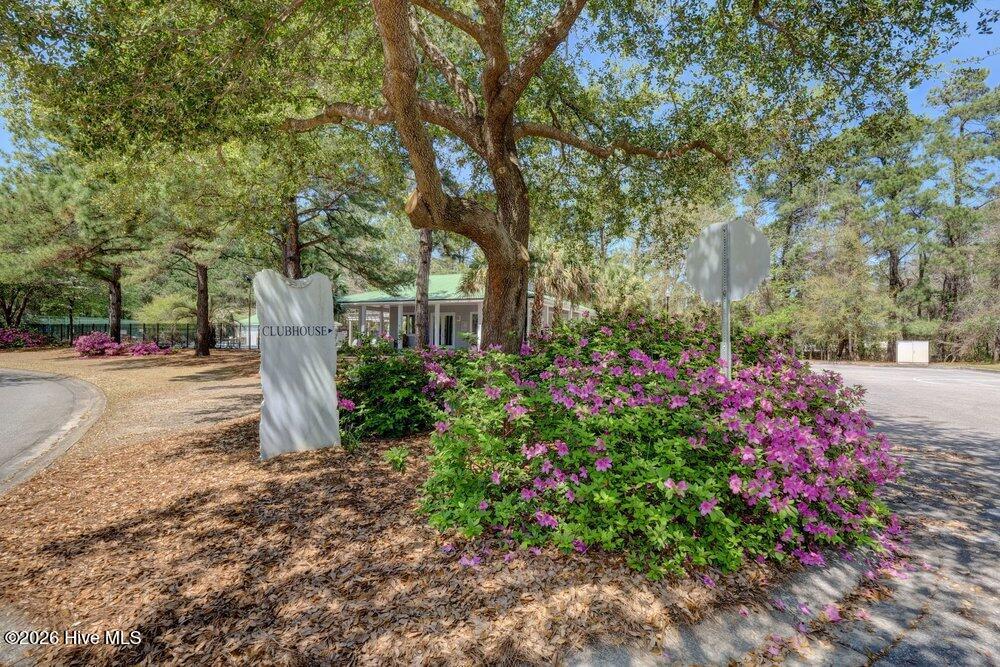 100558547 | Photo 51