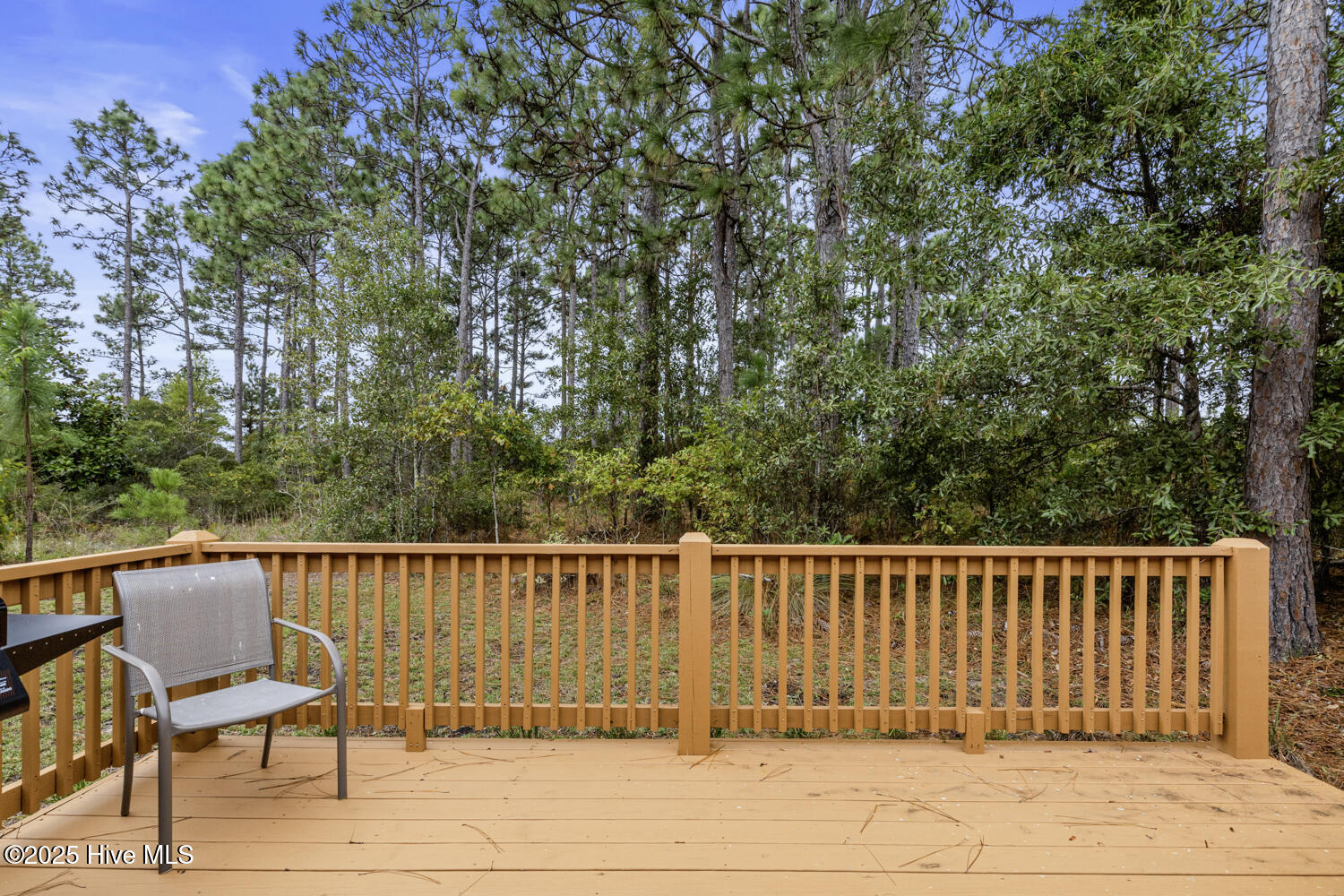 100536692 | Photo 26