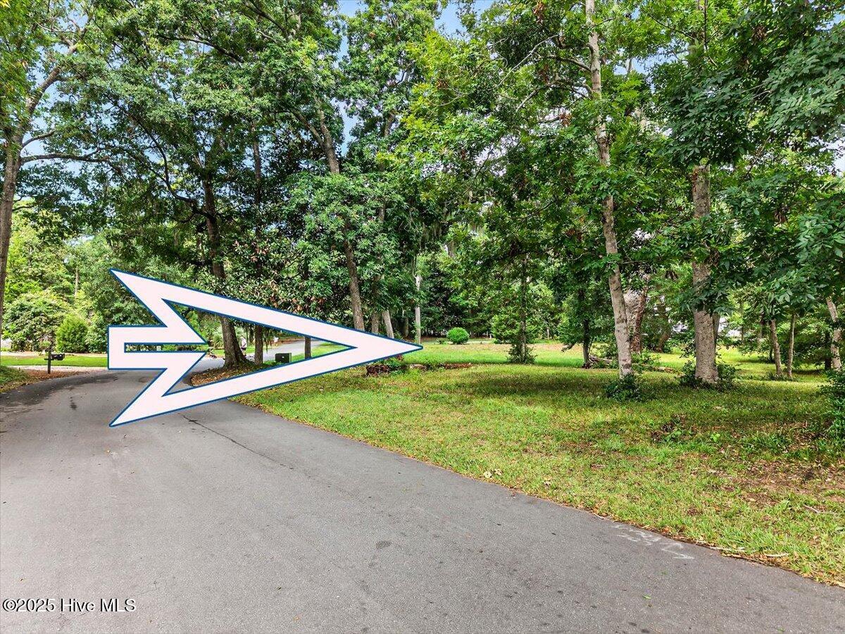 100481570 | Photo 16